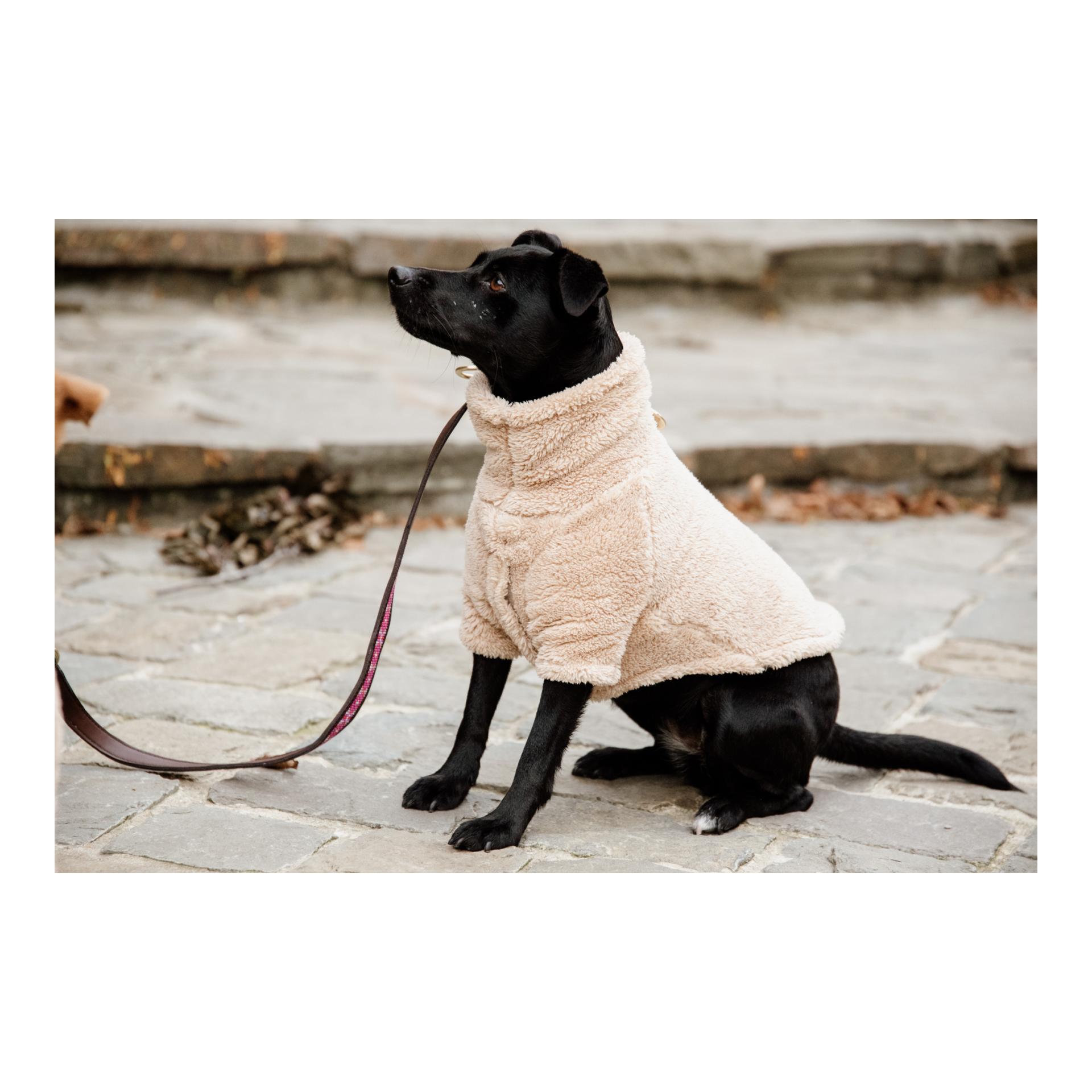 Kentucky Dogwear Hundepullover Teddy Fleece - beige