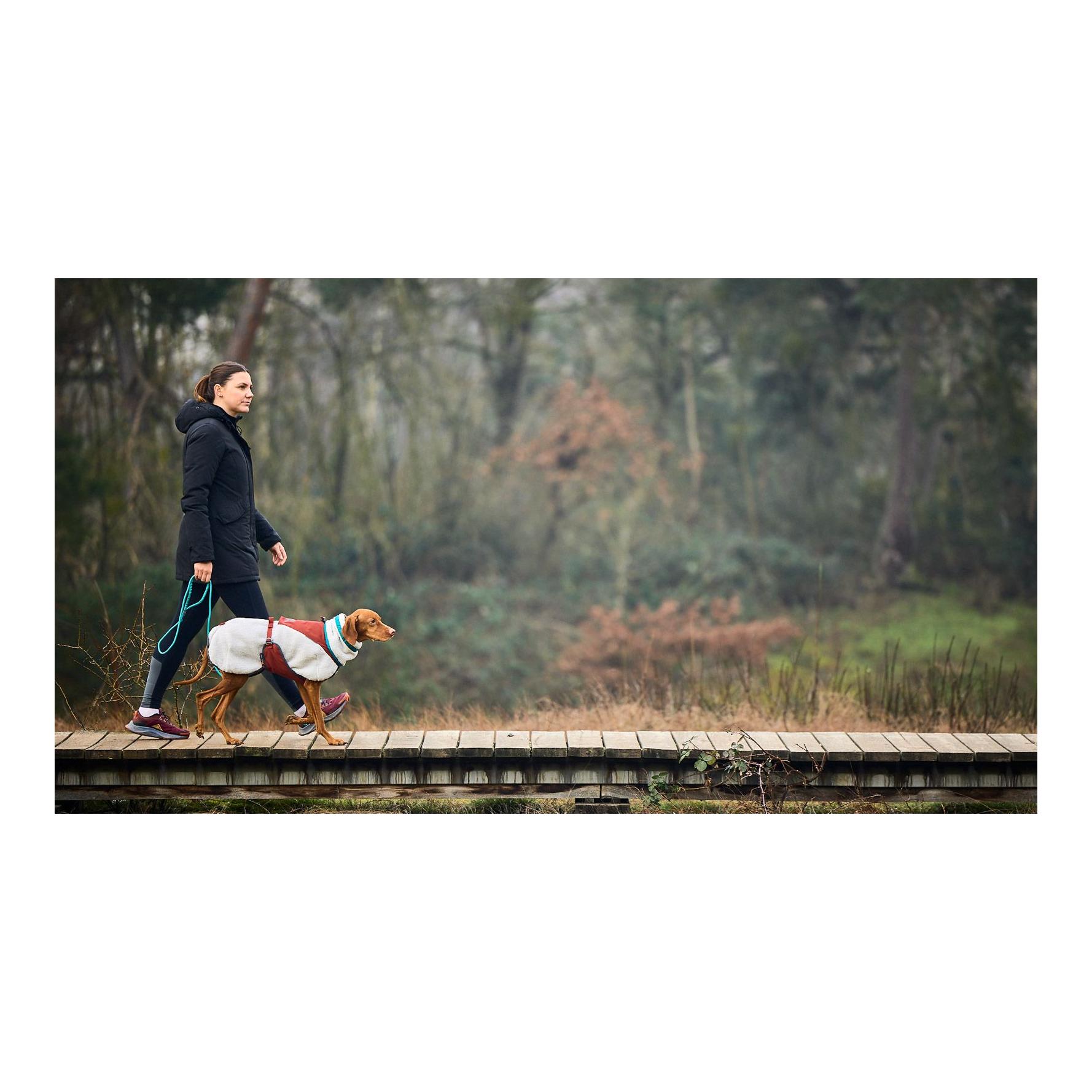 Non-stop Dogwear Hundeleine Trekking Rope Leash, 8mm