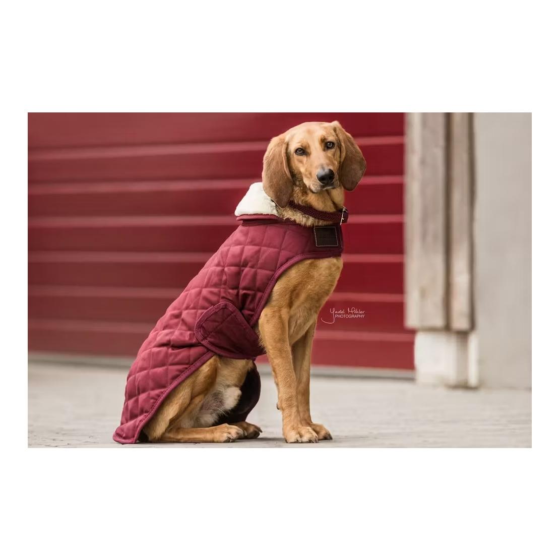 Kentucky Dogwear Hundemantel Original - bordeaux
