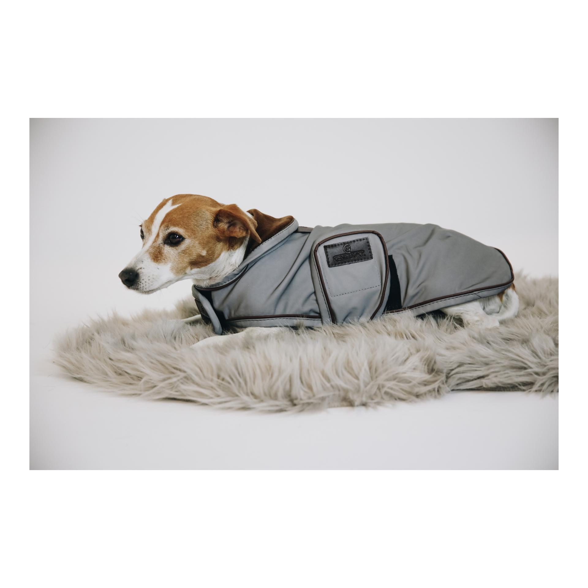 Kentucky Dogwear Hundemantel reflektierend & wasserabweisend