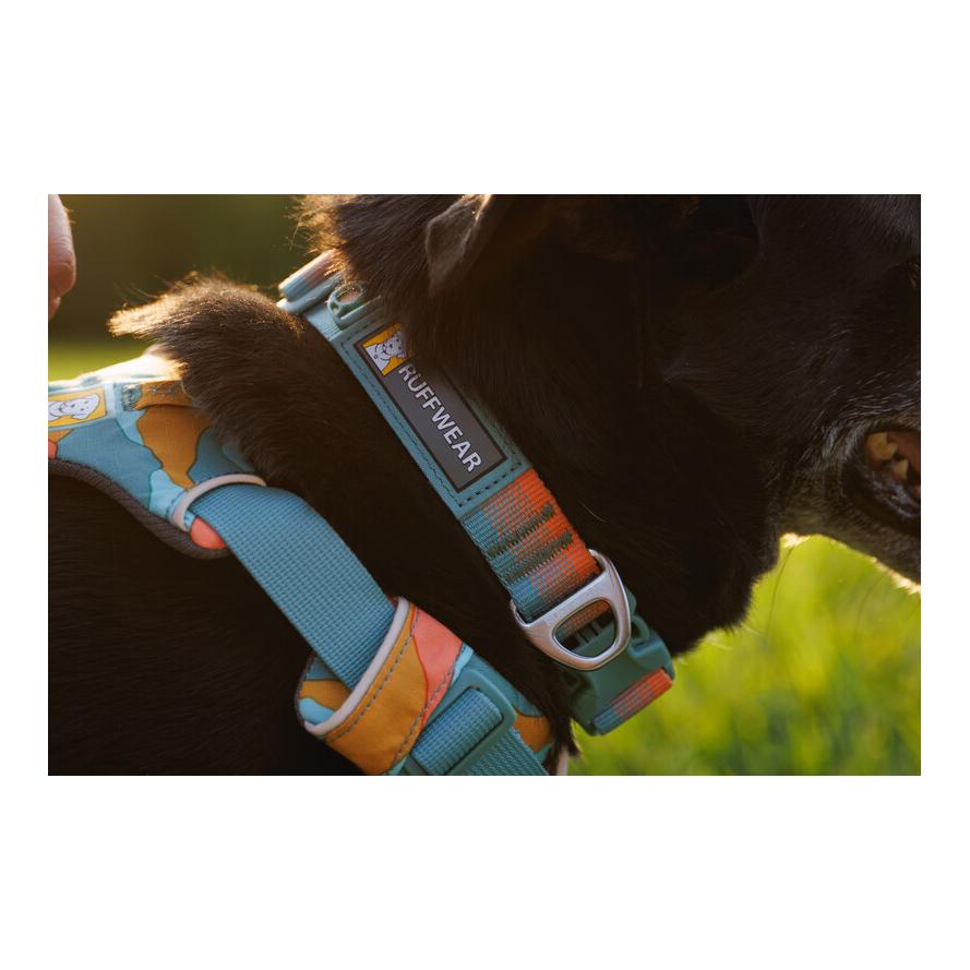 Ruffwear Front Range™ Collar Hundehalsband