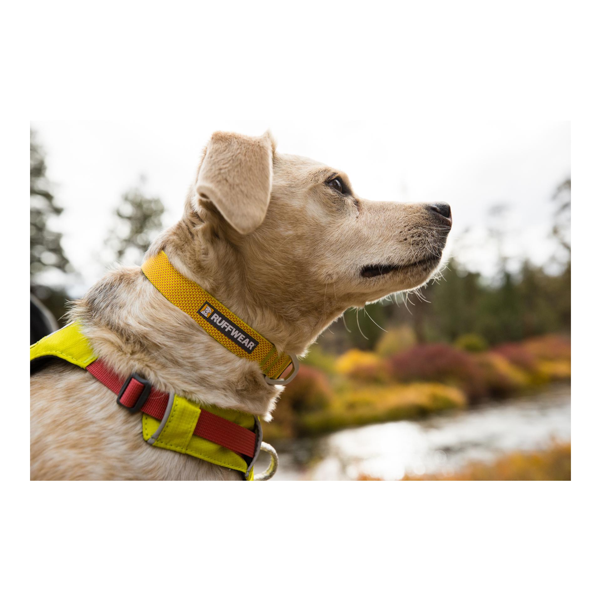 Ruffwear Hi & Light™ Halsband