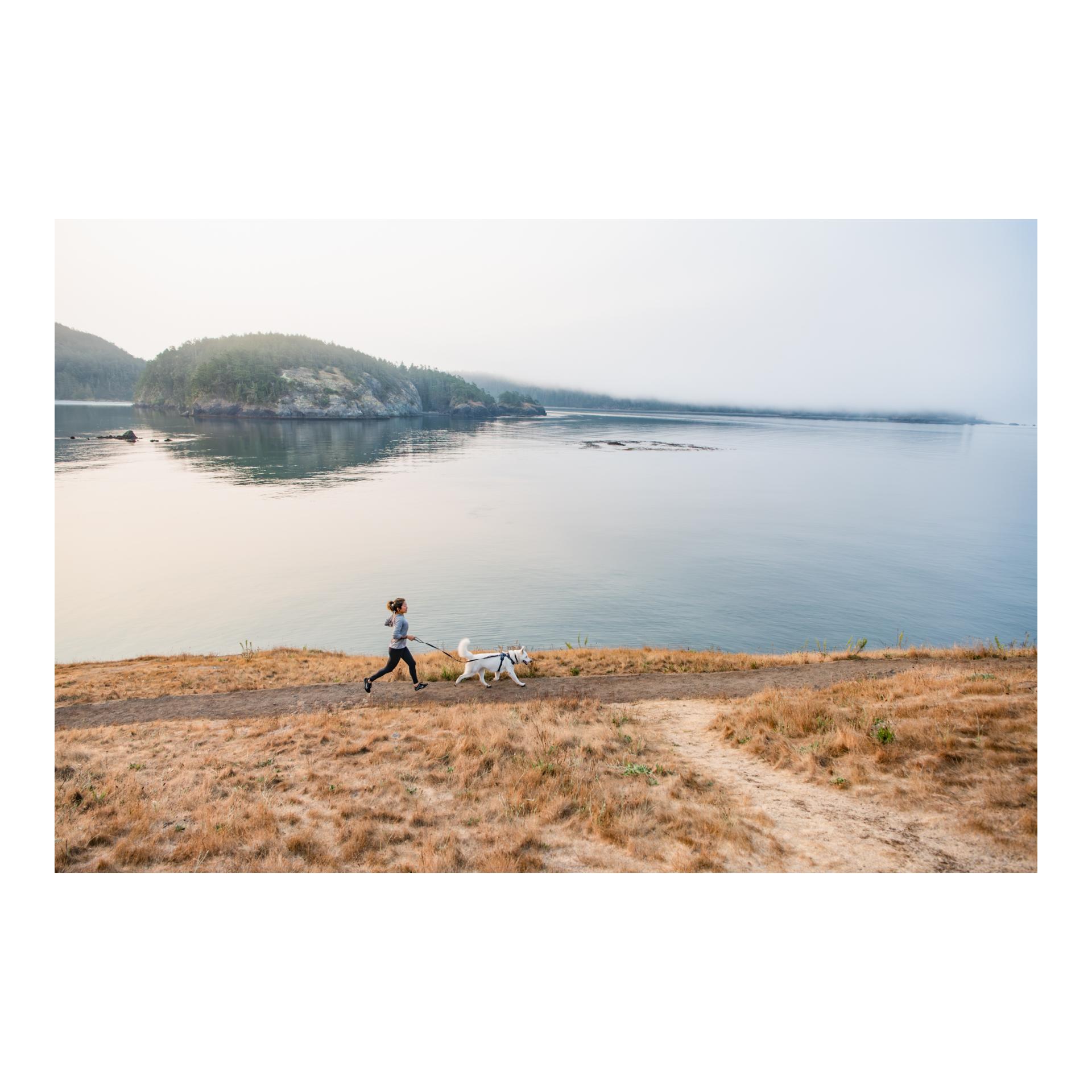 Ruffwear Front Range™ Leash Hundeleine