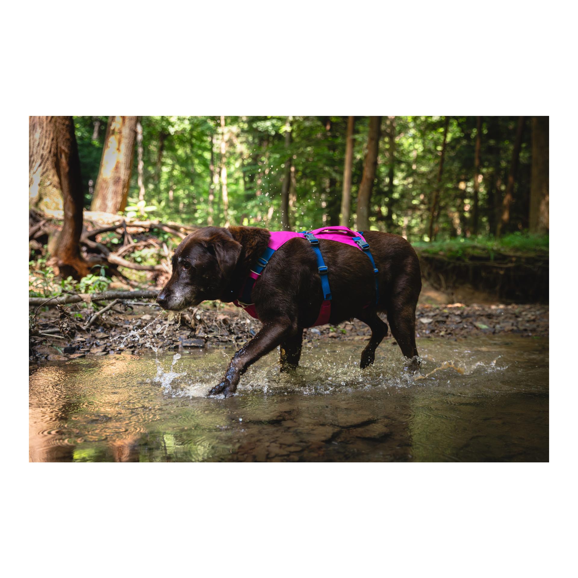 Ruffwear Flagline™ Hundegeschirr