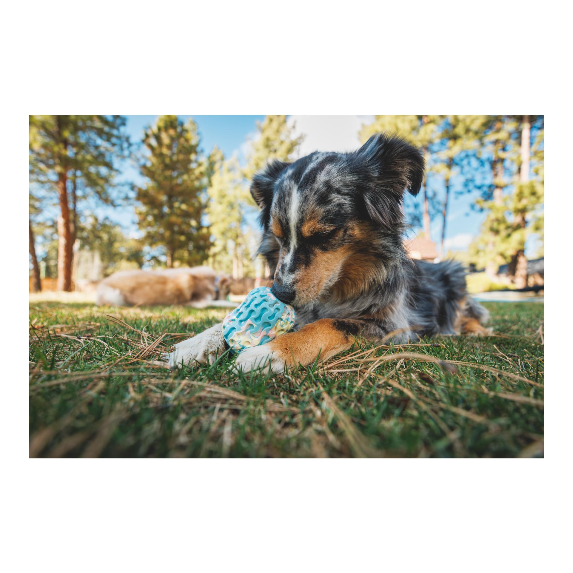 Ruffwear Hundespielzeug Morel