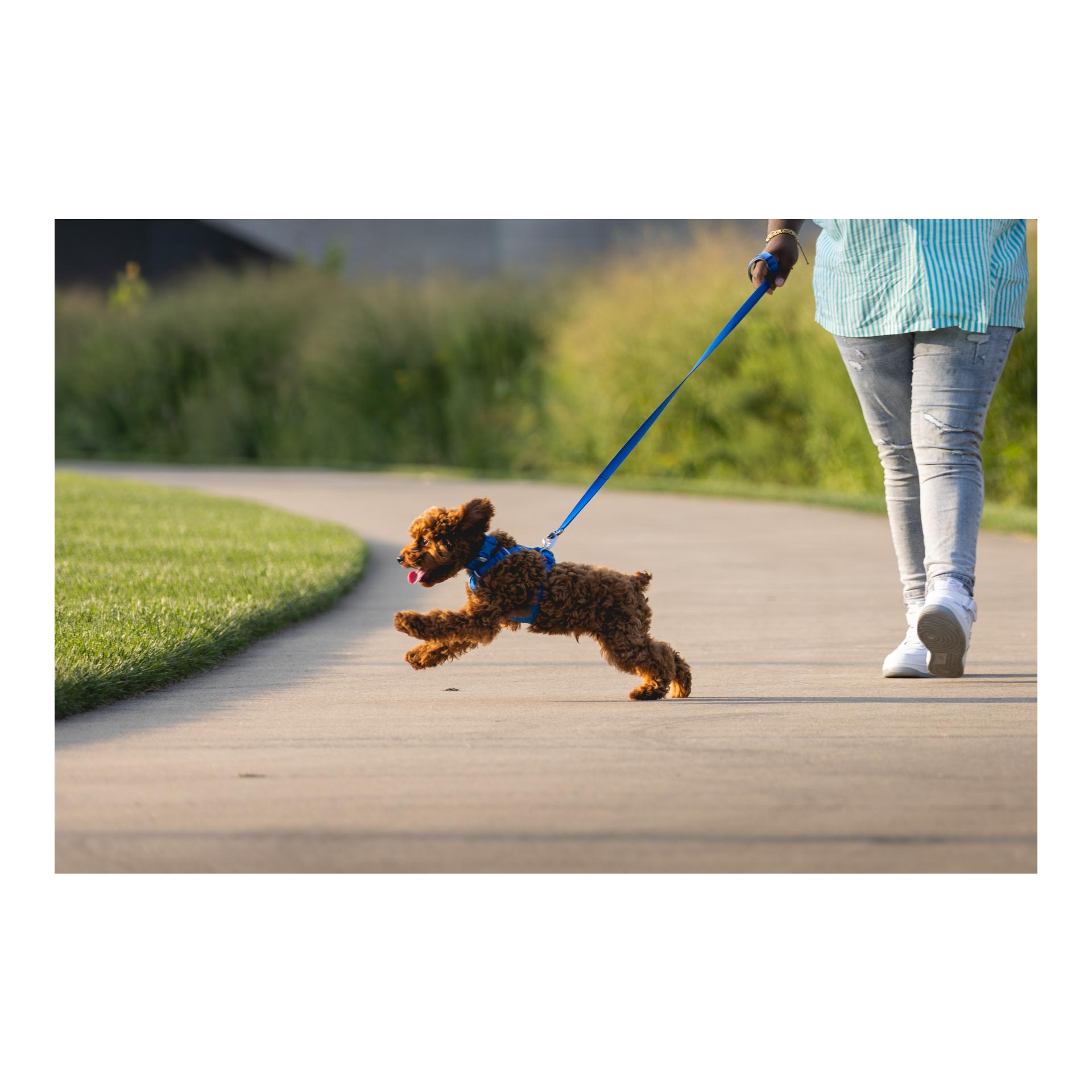 Ruffwear Front Range™ Leash Hundeleine