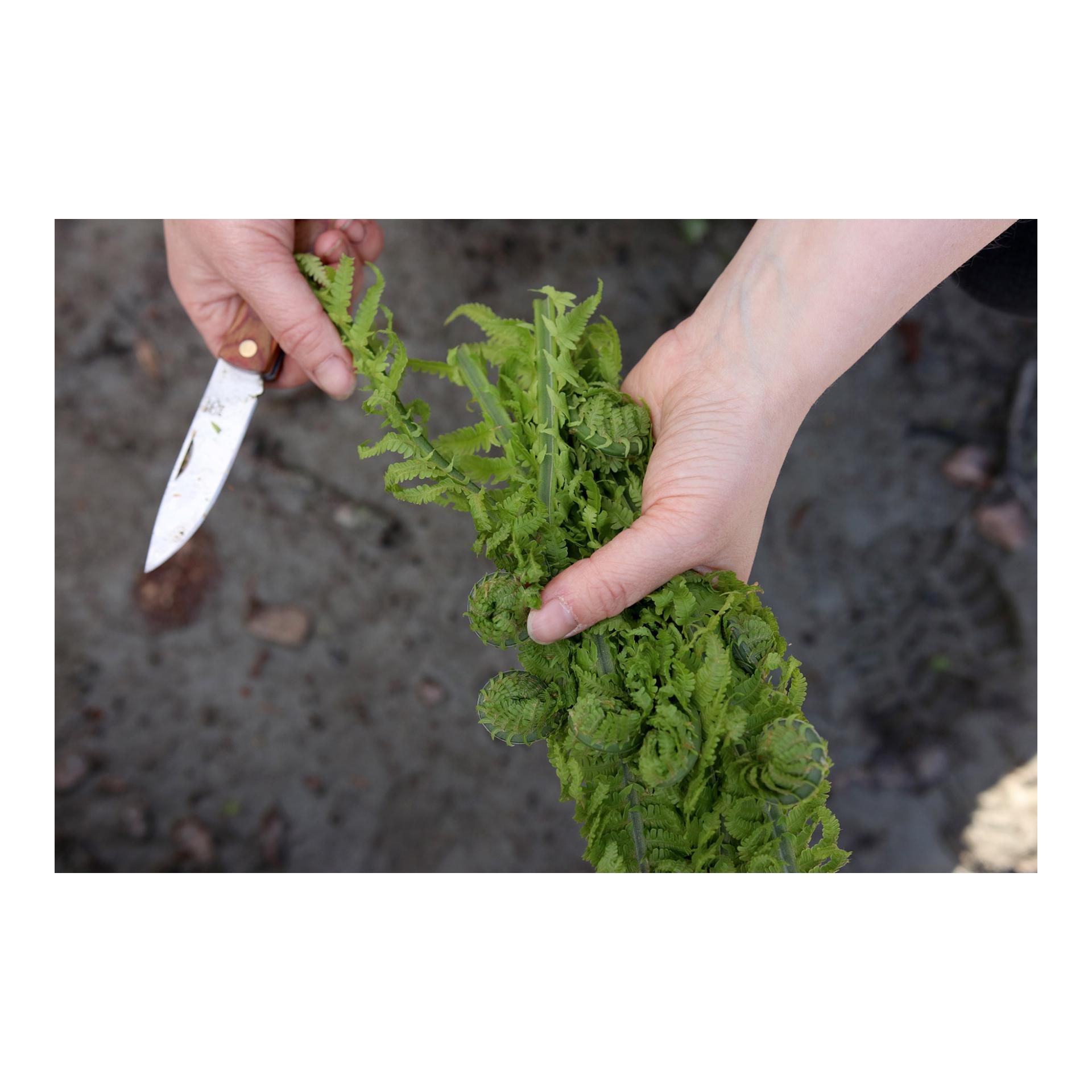 Øyo MARKA - Jagd/Outdoorklappmessesr mit Lederhülle