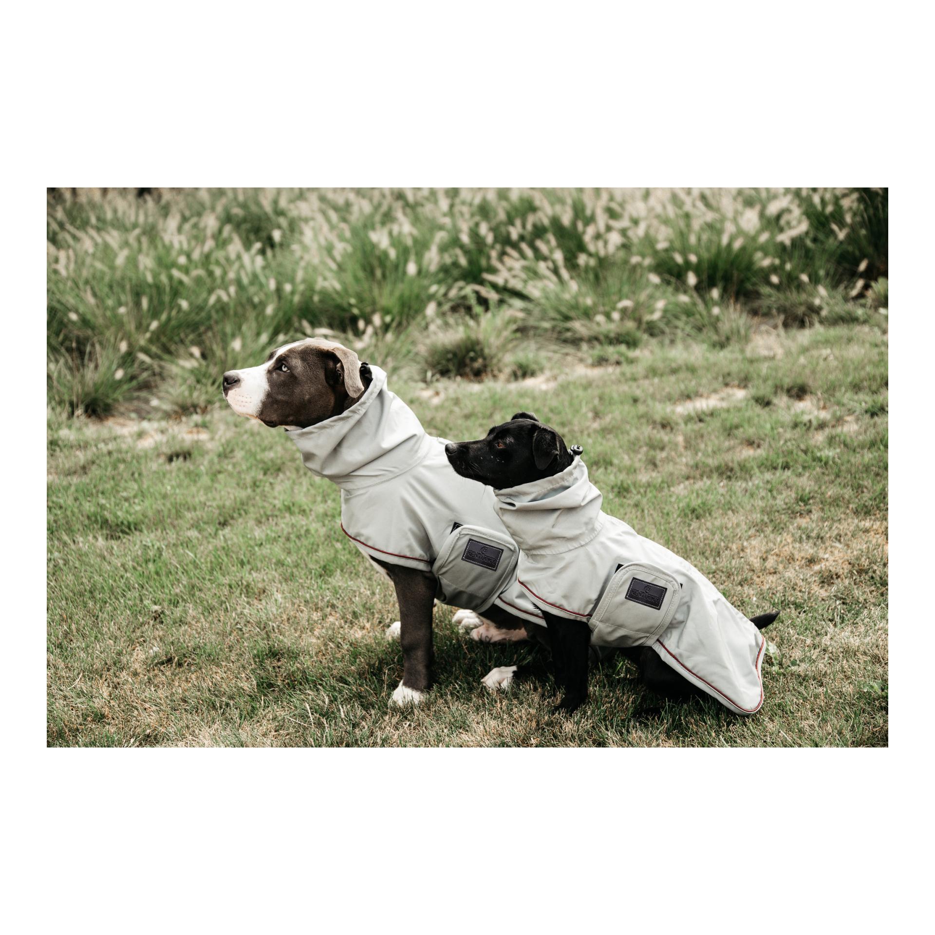 Kentucky Dogwear Hunde Regenjacke