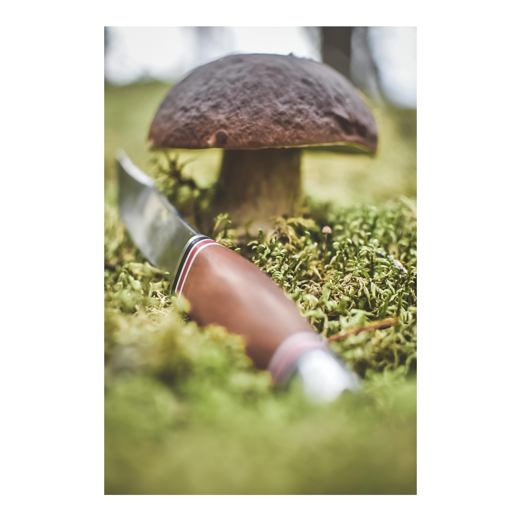 Øyo GEILO - Jagd/Outdoormesser mit Lederscheide