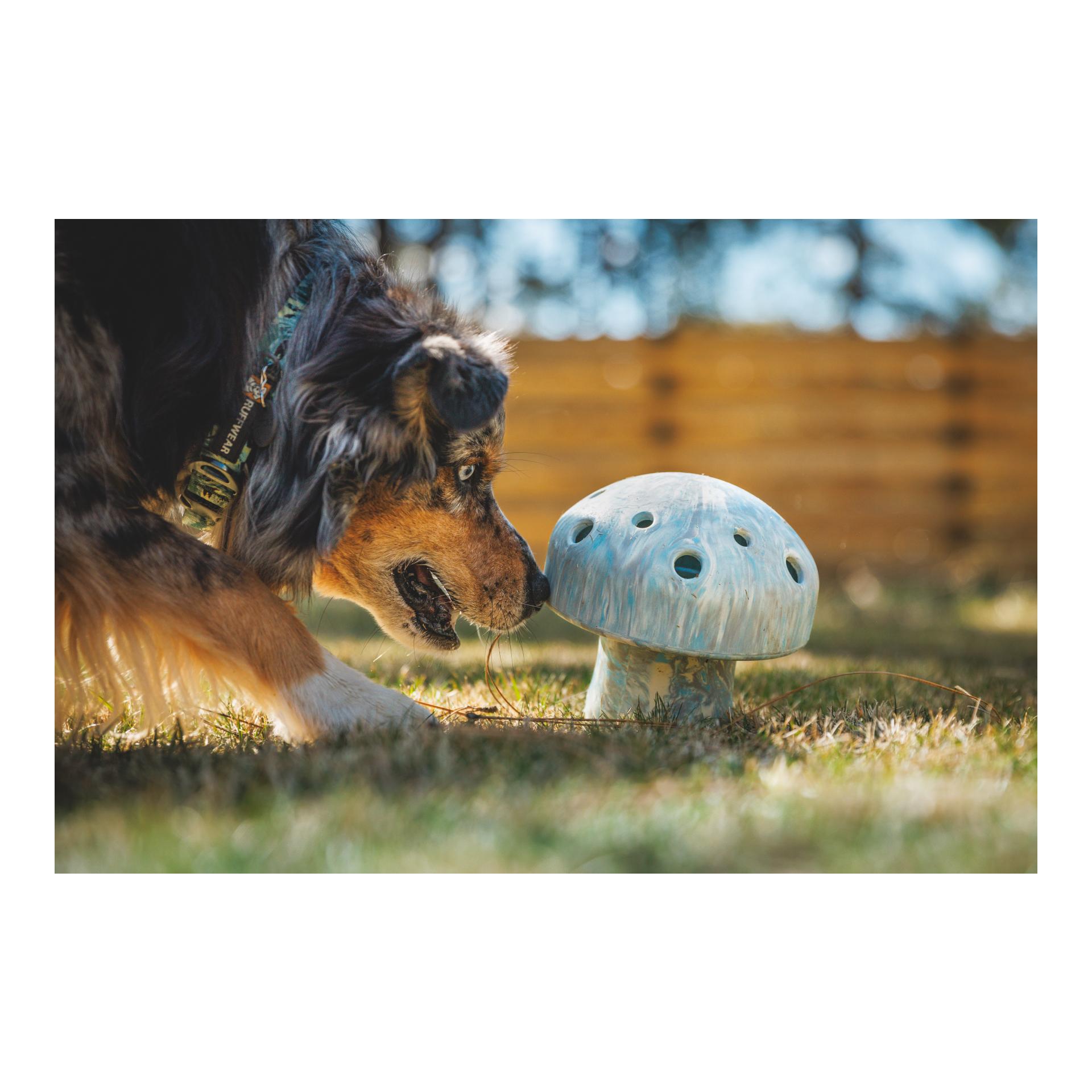 Ruffwear Jouet pour chien Porchini