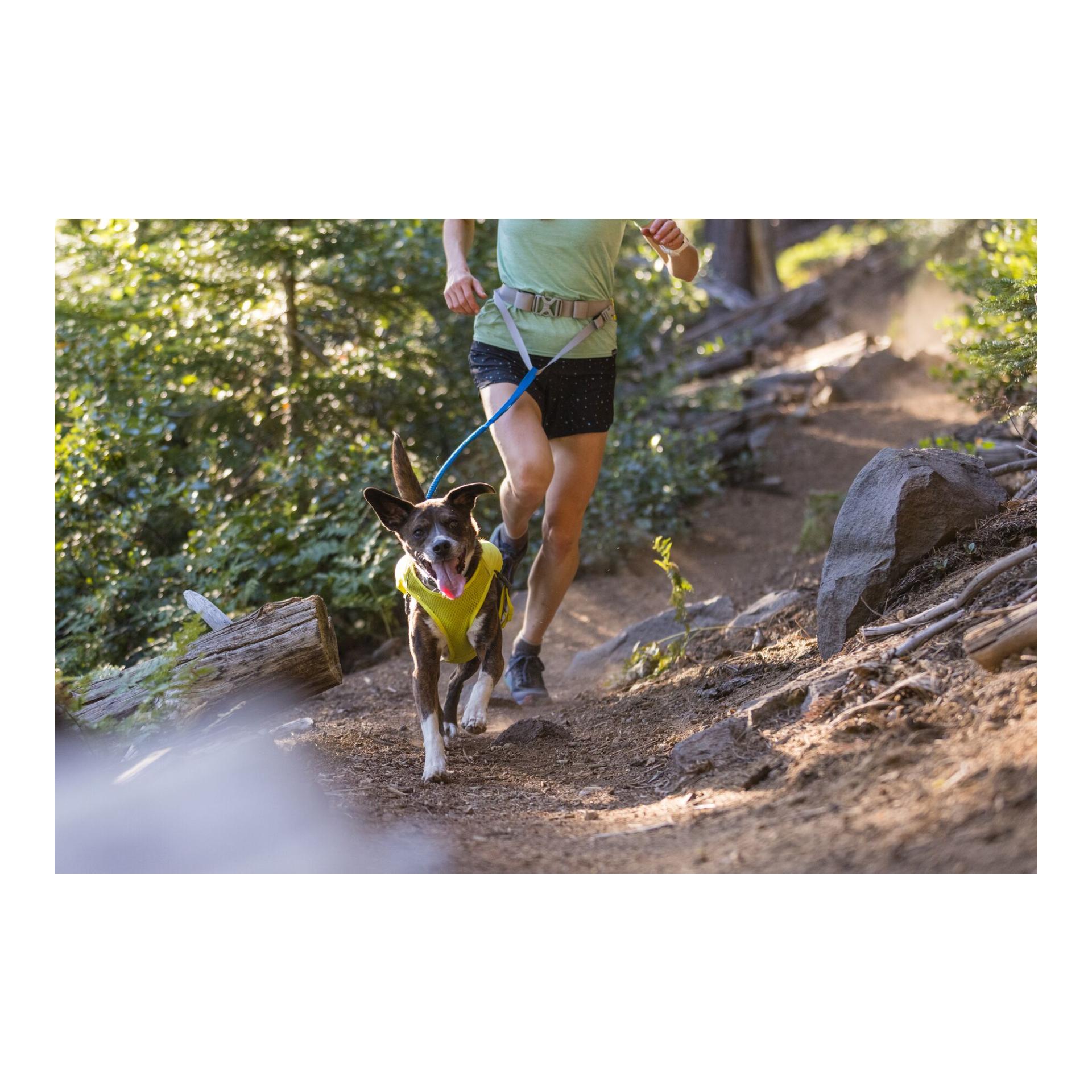 Ruffwear Laisse de jogging Trail Runner™ Leash