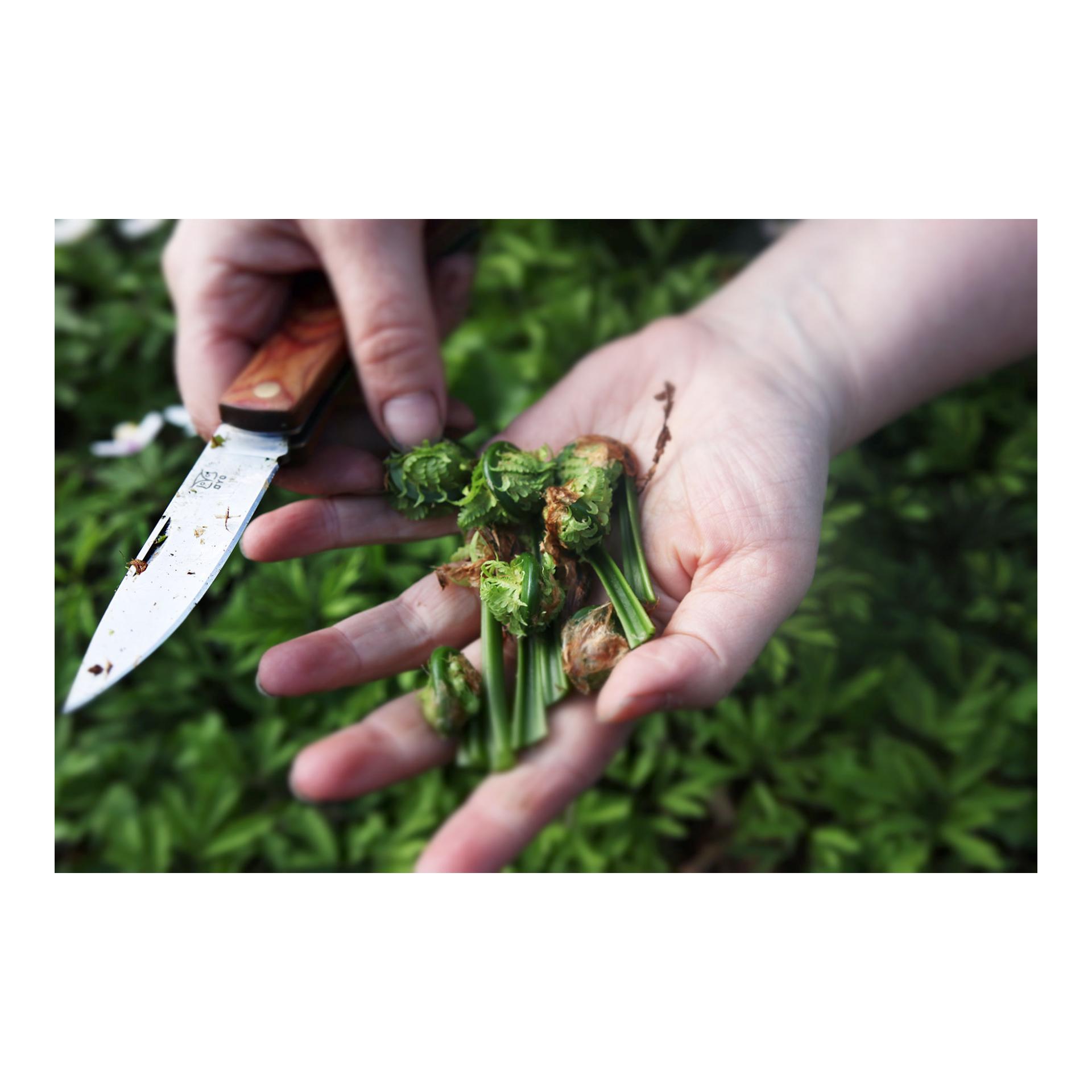 Øyo MARKA - Jagd/Outdoorklappmessesr mit Lederhülle