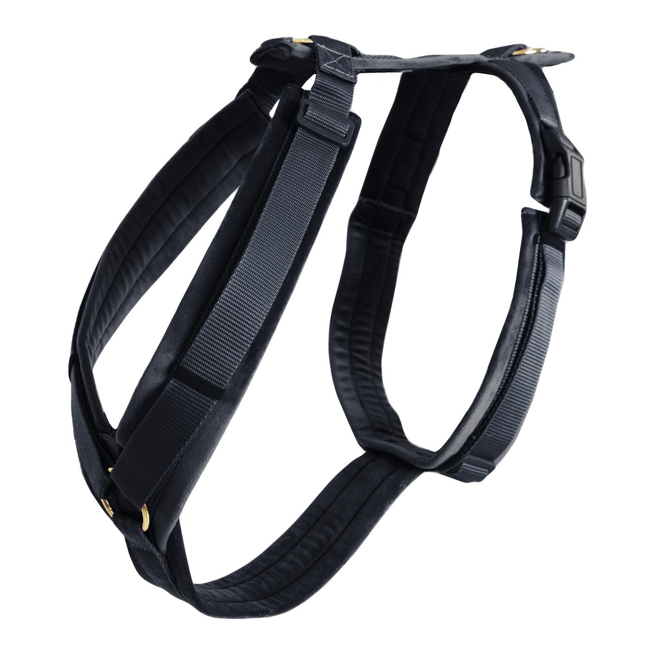 Kentucky Dogwear Hundegeschirr Active Velvet