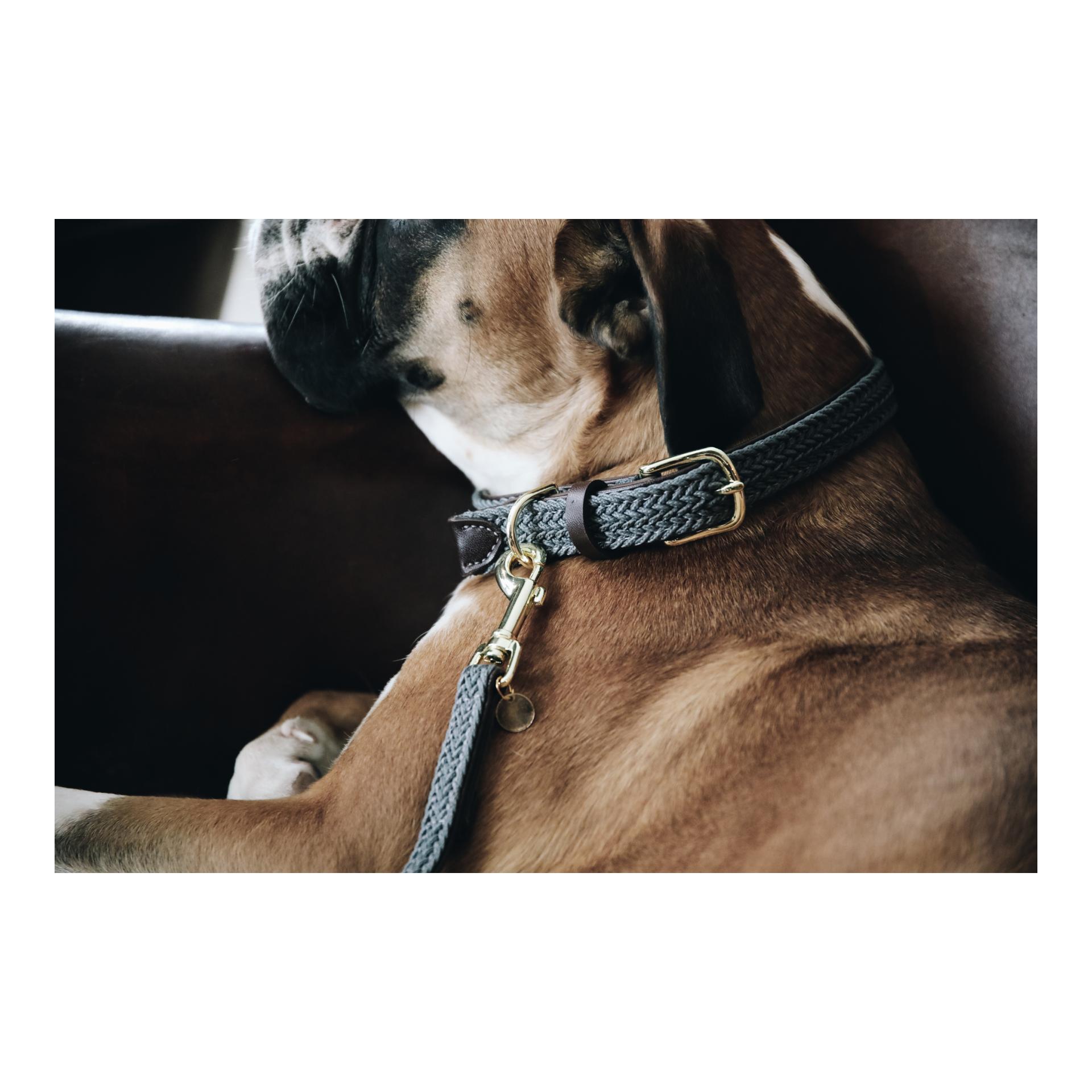 Hundehalsband Nylon geflochten - grau