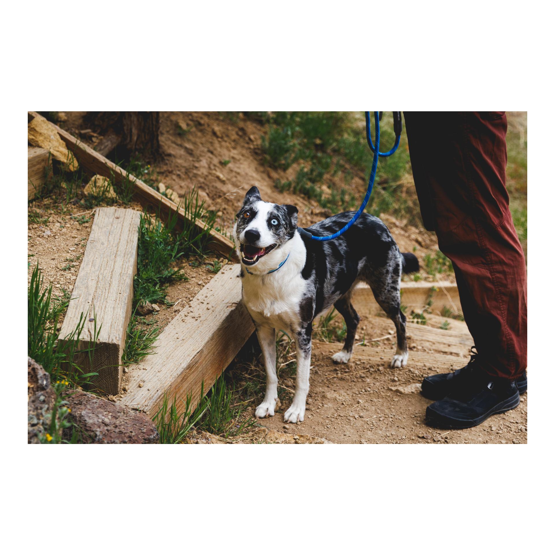 Ruffwear Knot-a-Leash Hundeleine