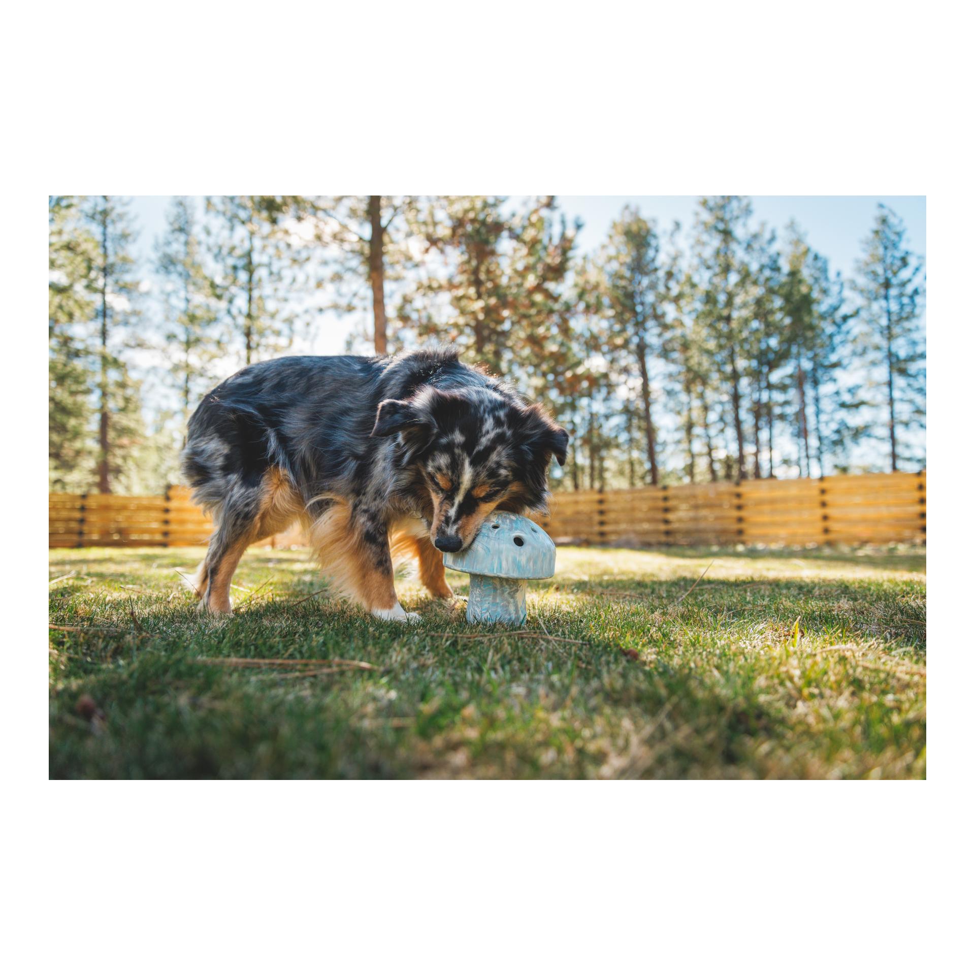 Ruffwear Jouet pour chien Porchini