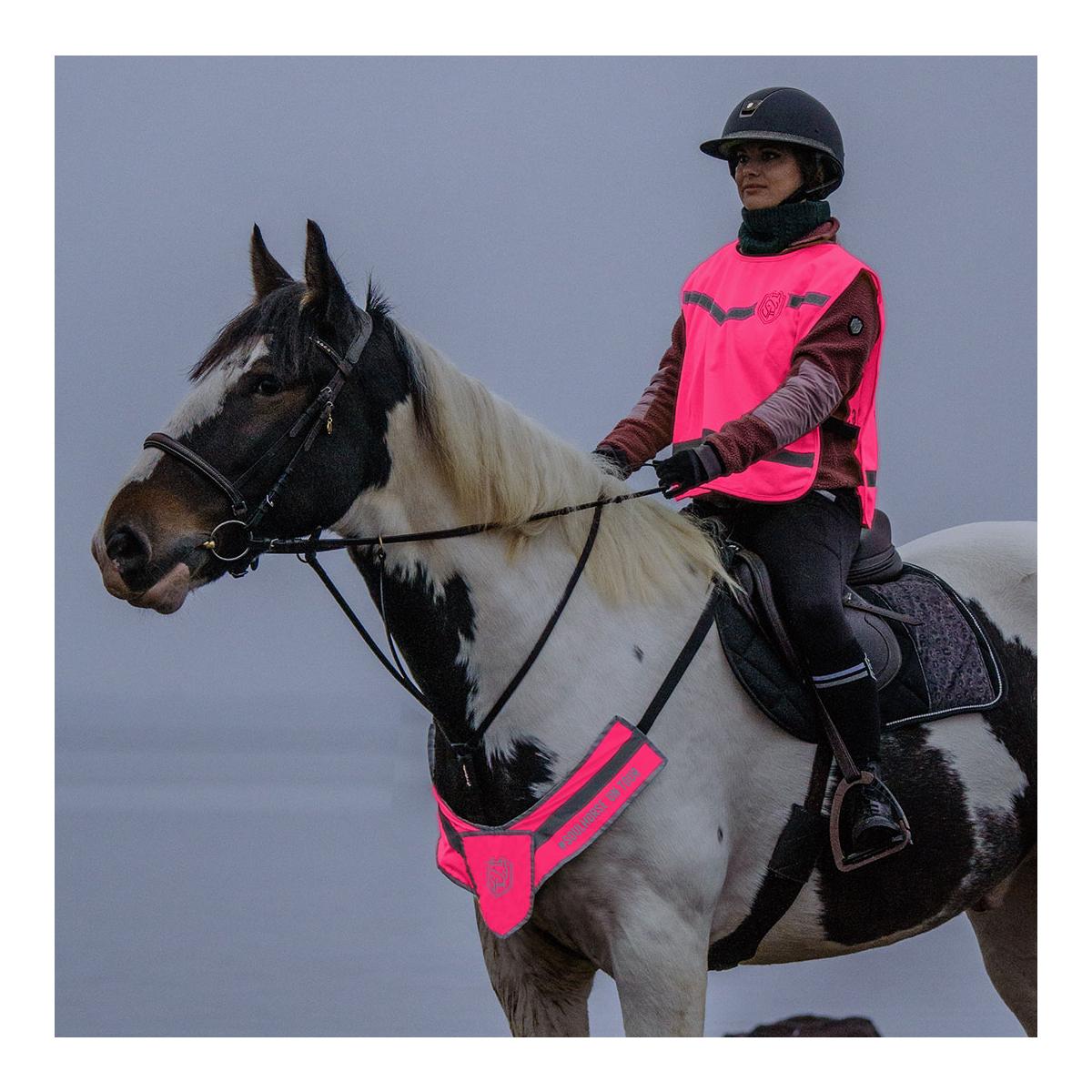 Soulhorse Warnweste "Achtung Pferd"