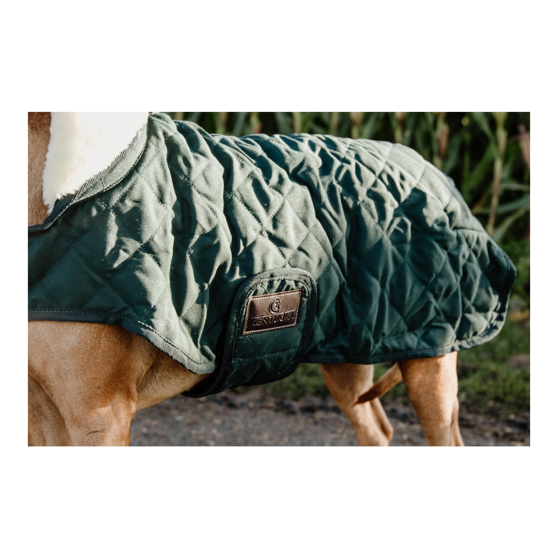 Kentucky Dogwear Manteau pour chien Original - vert foncé