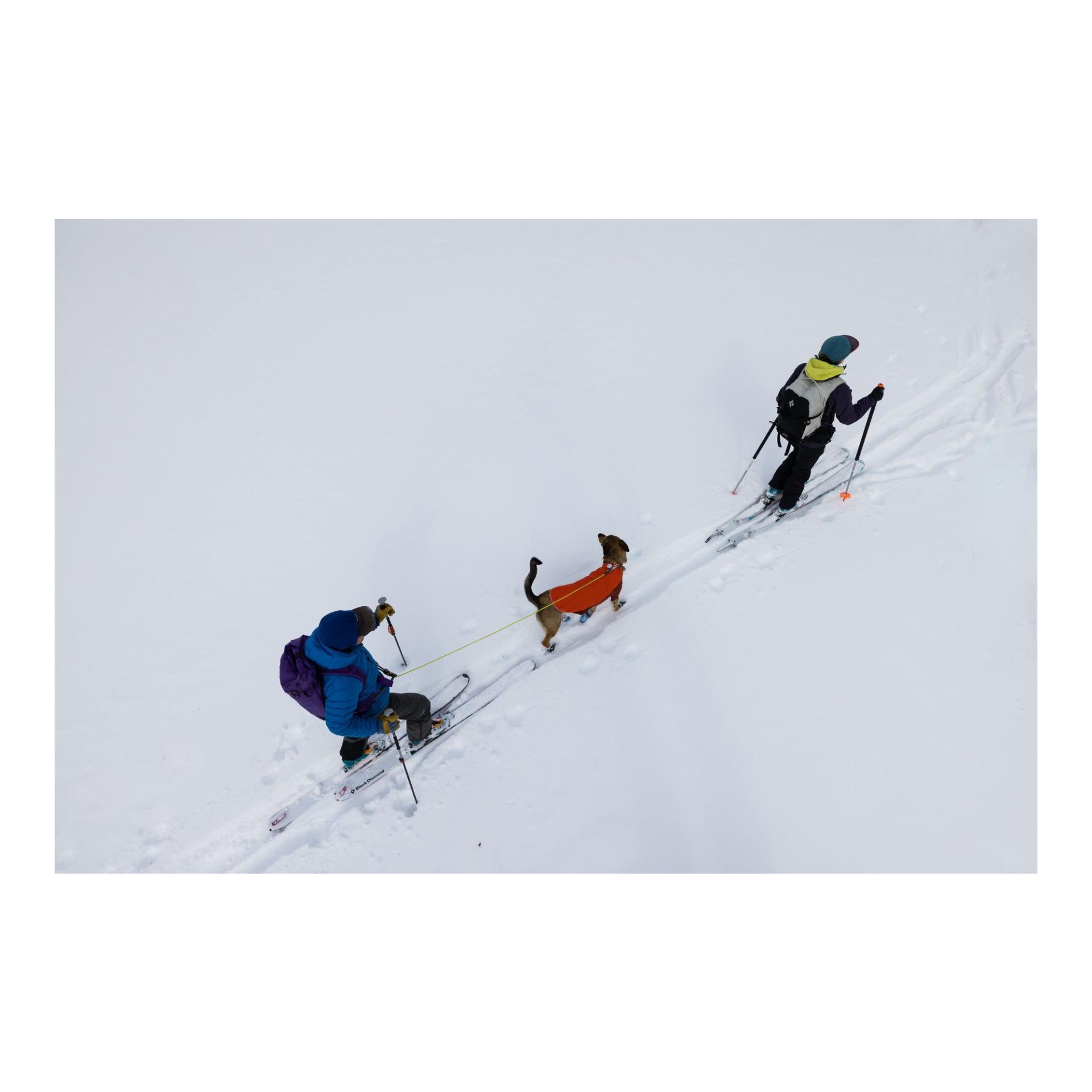 Ruffwear Veste pour chien Powder Hound™ Jacket