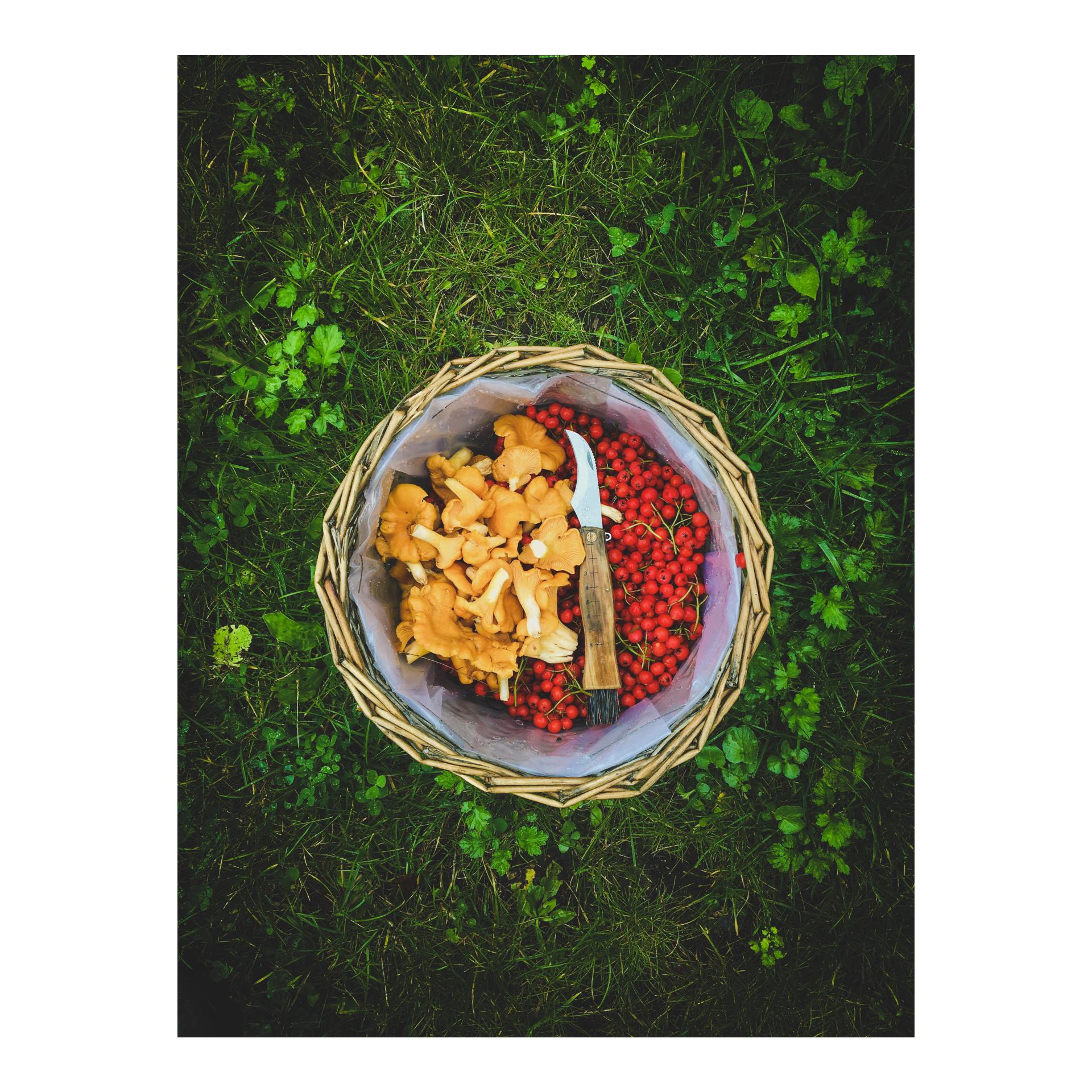 Øyo SOPP - Pilzklappmesser Slipjoint