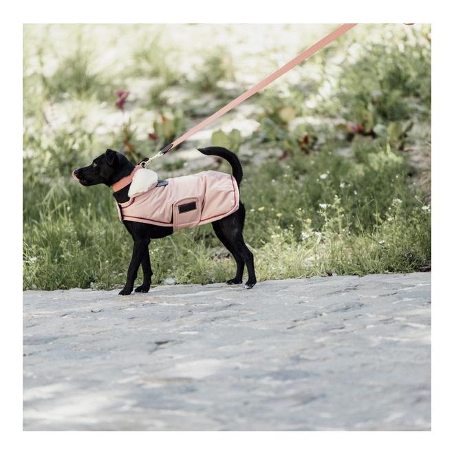 Kentucky Dogwear Hundemantel wasserdicht 160 g - Koralle