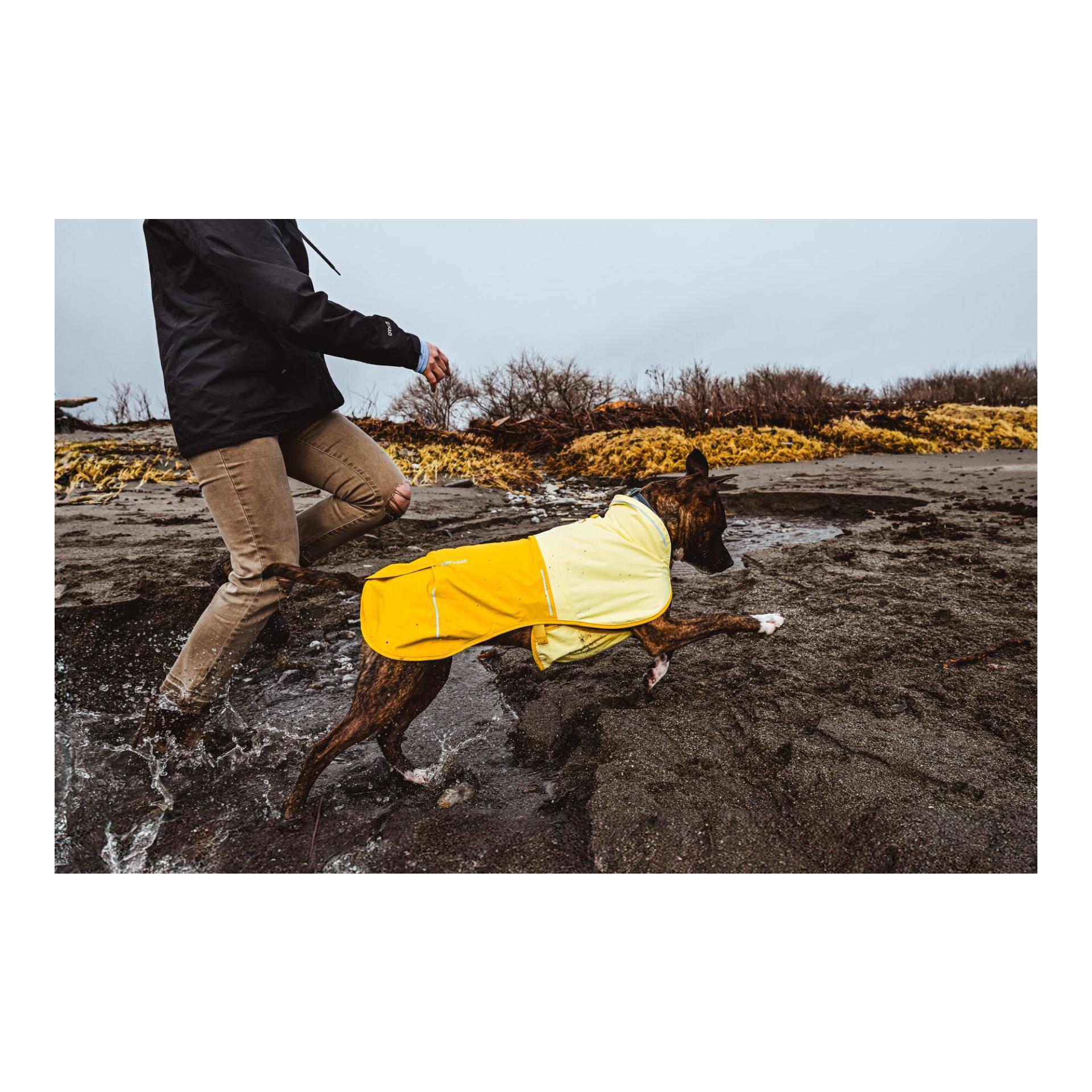 Ruffwear Hundemantel Sun Shower Jacket