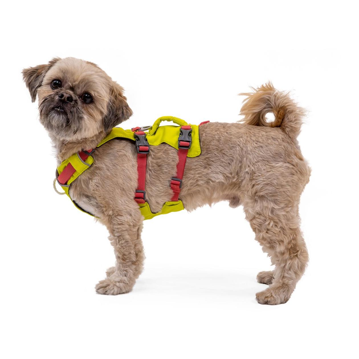 Ruffwear Harnais Flagline™