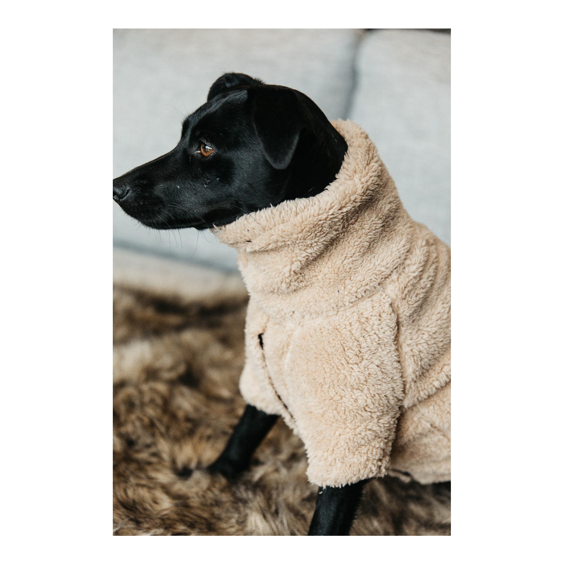 Kentucky Dogwear Hundepullover Teddy Fleece - beige