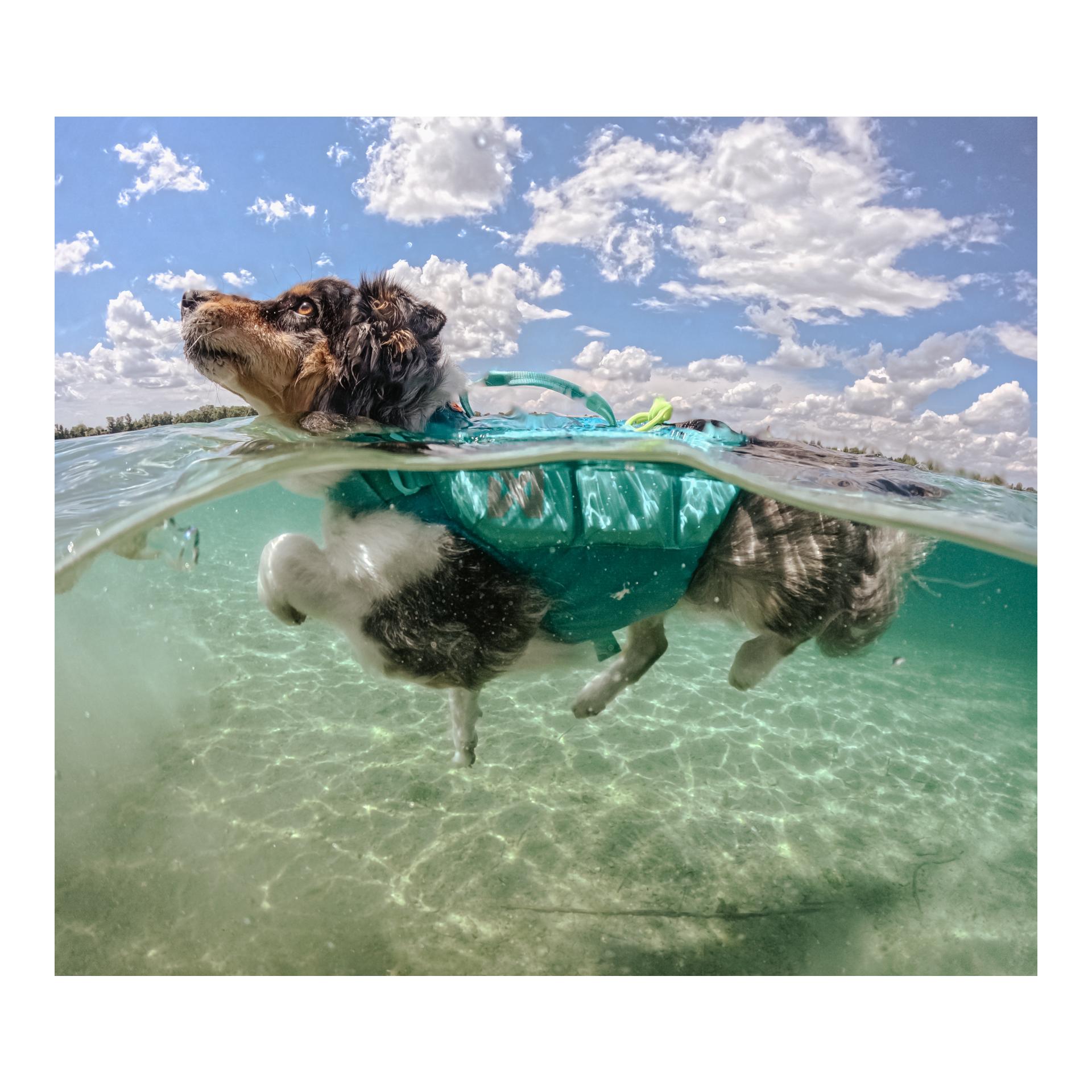 Non-stop Dogwear Protector Life Jacket Hundeschwimmweste