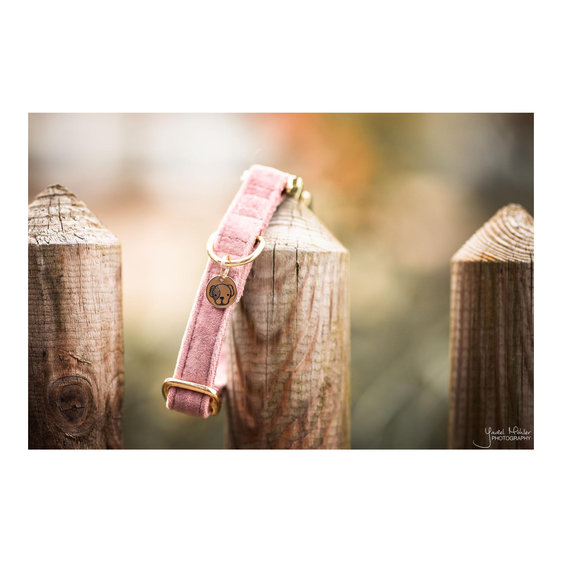 Kentucky Dogwear Hundehalsband velvet - old rose
