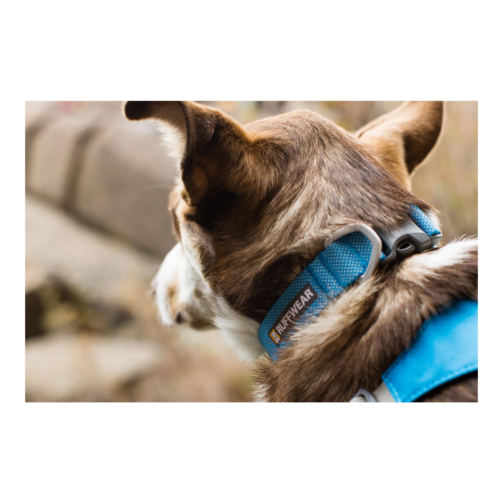 Ruffwear Hi & Light™ Halsband