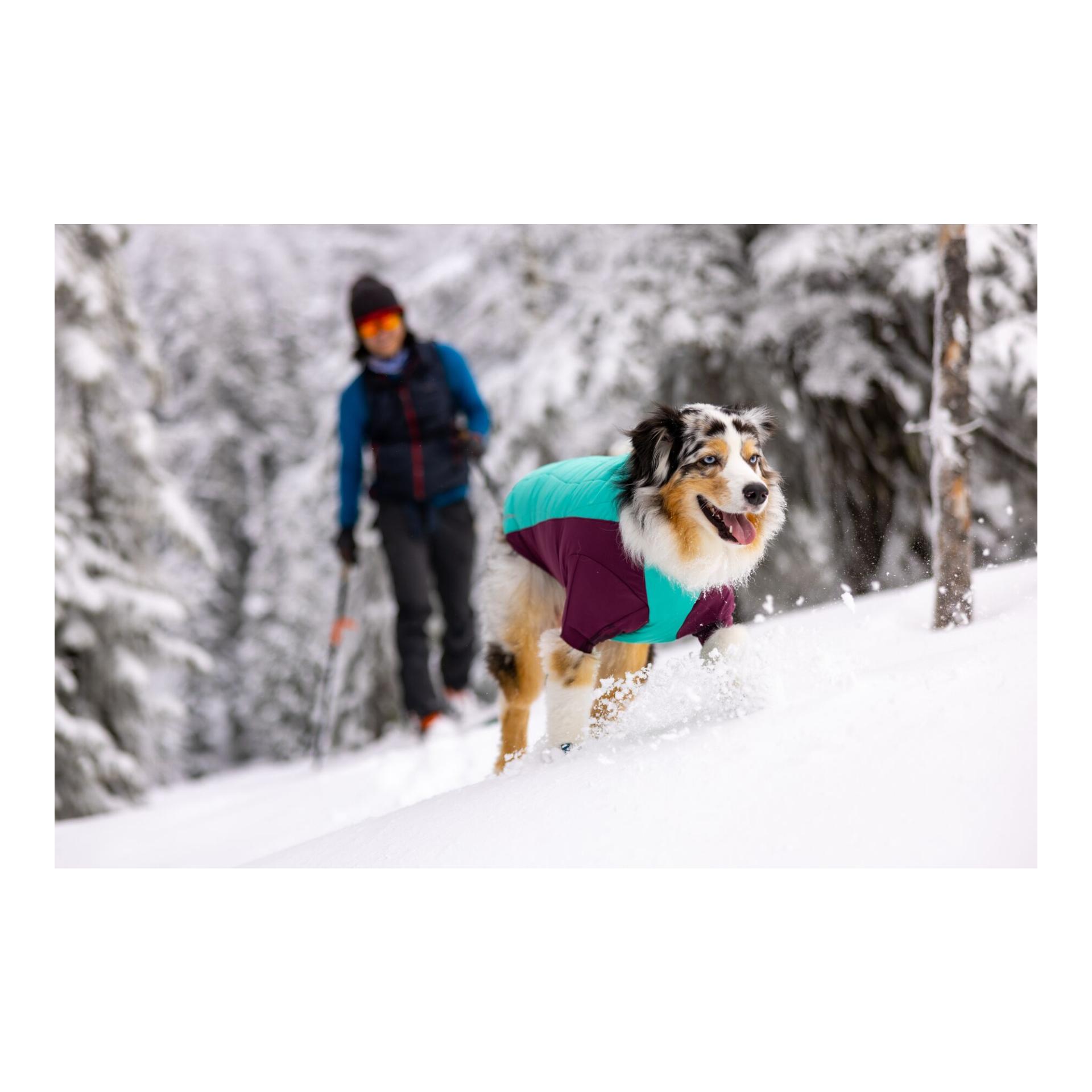Ruffwear Veste pour chien Powder Hound™ Jacket