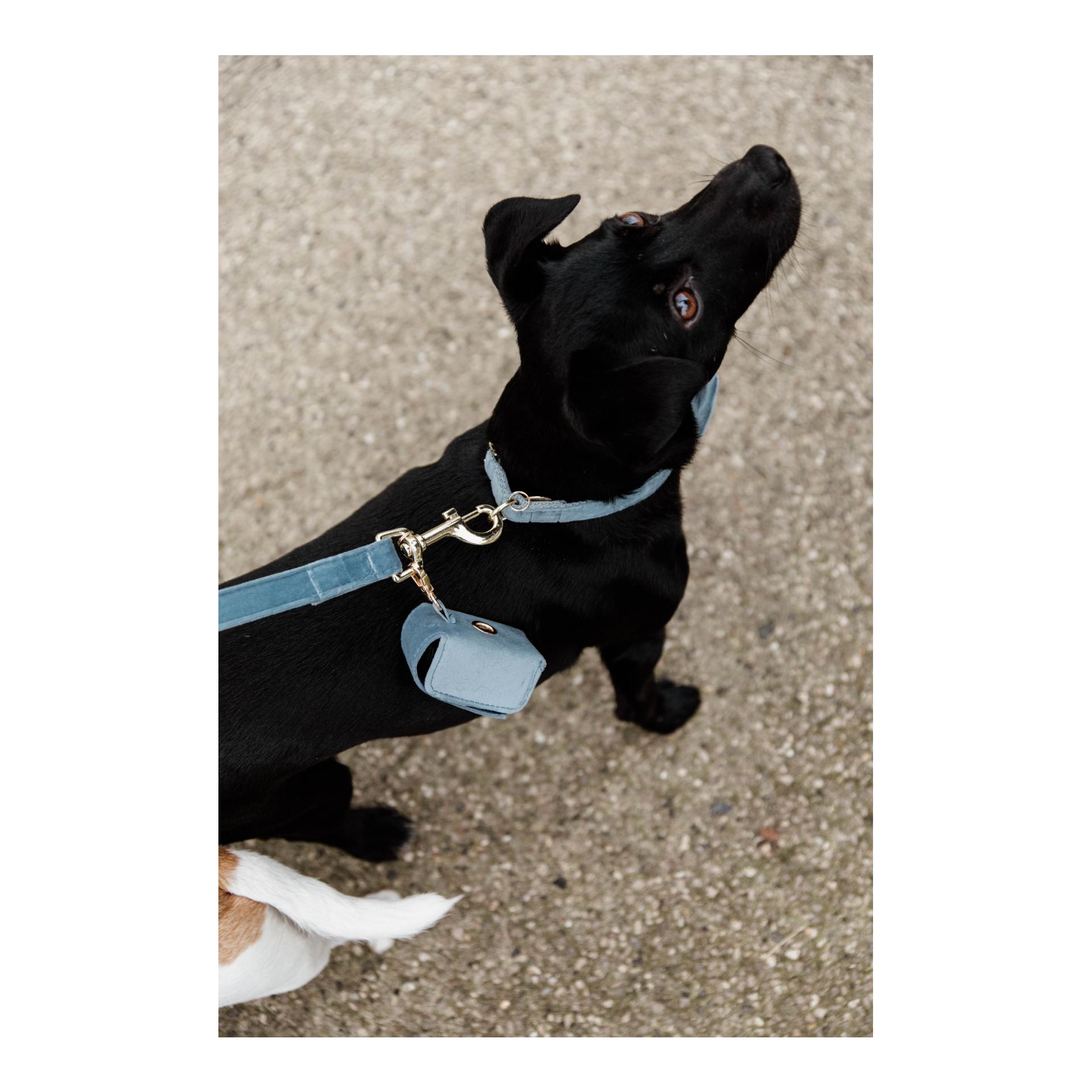 Kentucky Dogwear Kotbeutelspender Velvet Square