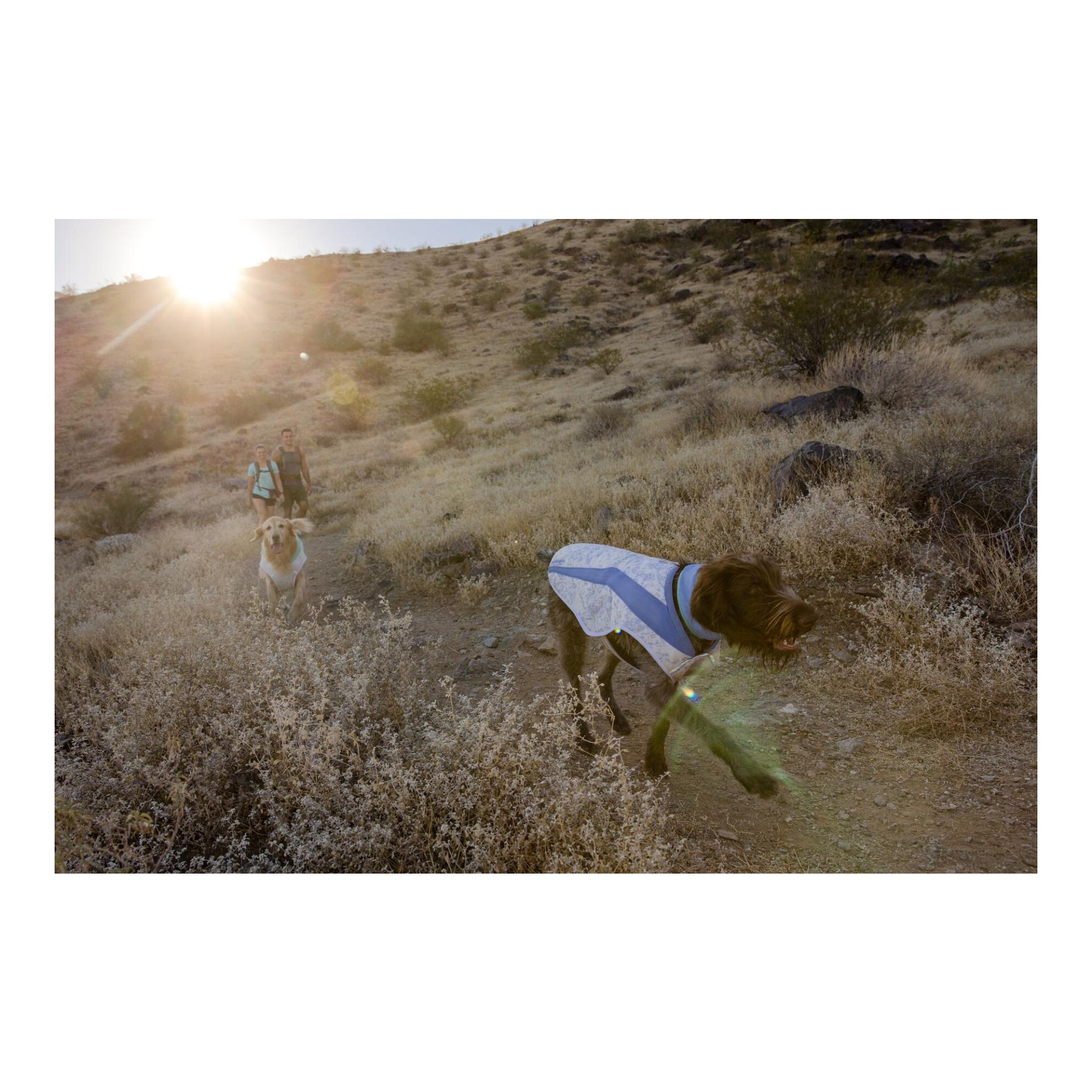 Ruffwear Gilet Swamp Cooler™