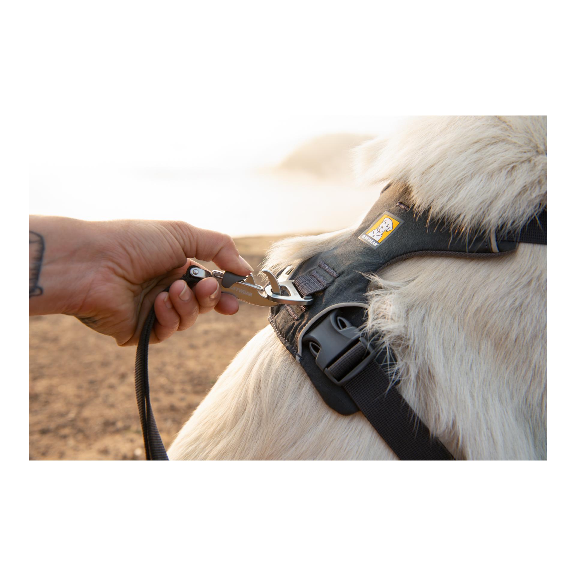 Ruffwear Front Range® harnais pour chien