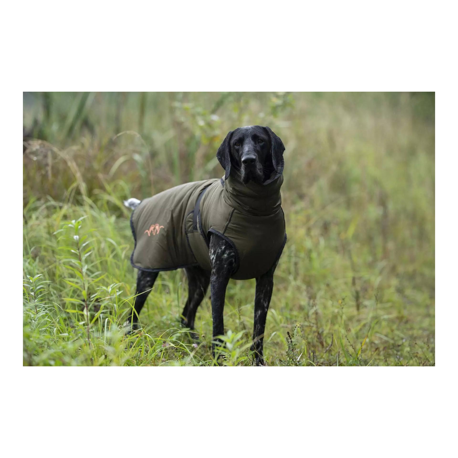 Blaser Hundeponcho Oliv