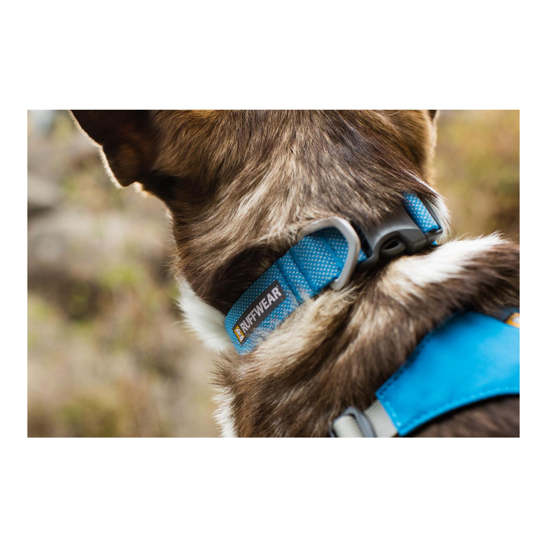 Ruffwear Hi & Light™ Halsband