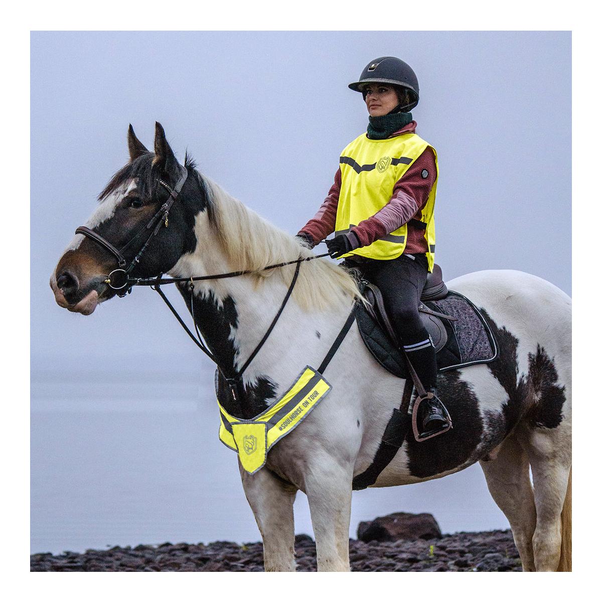 Soulhorse Warnweste "Achtung Pferd"
