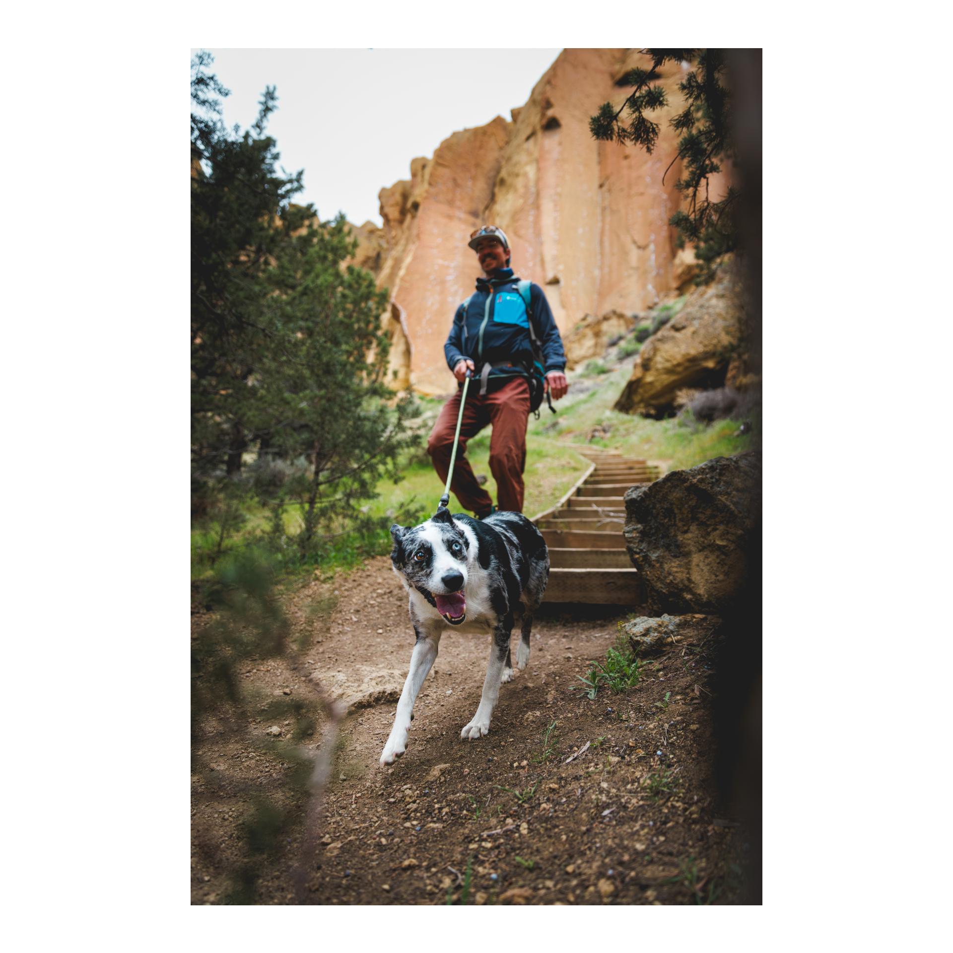 Ruffwear Knot-a-Leash Hundeleine