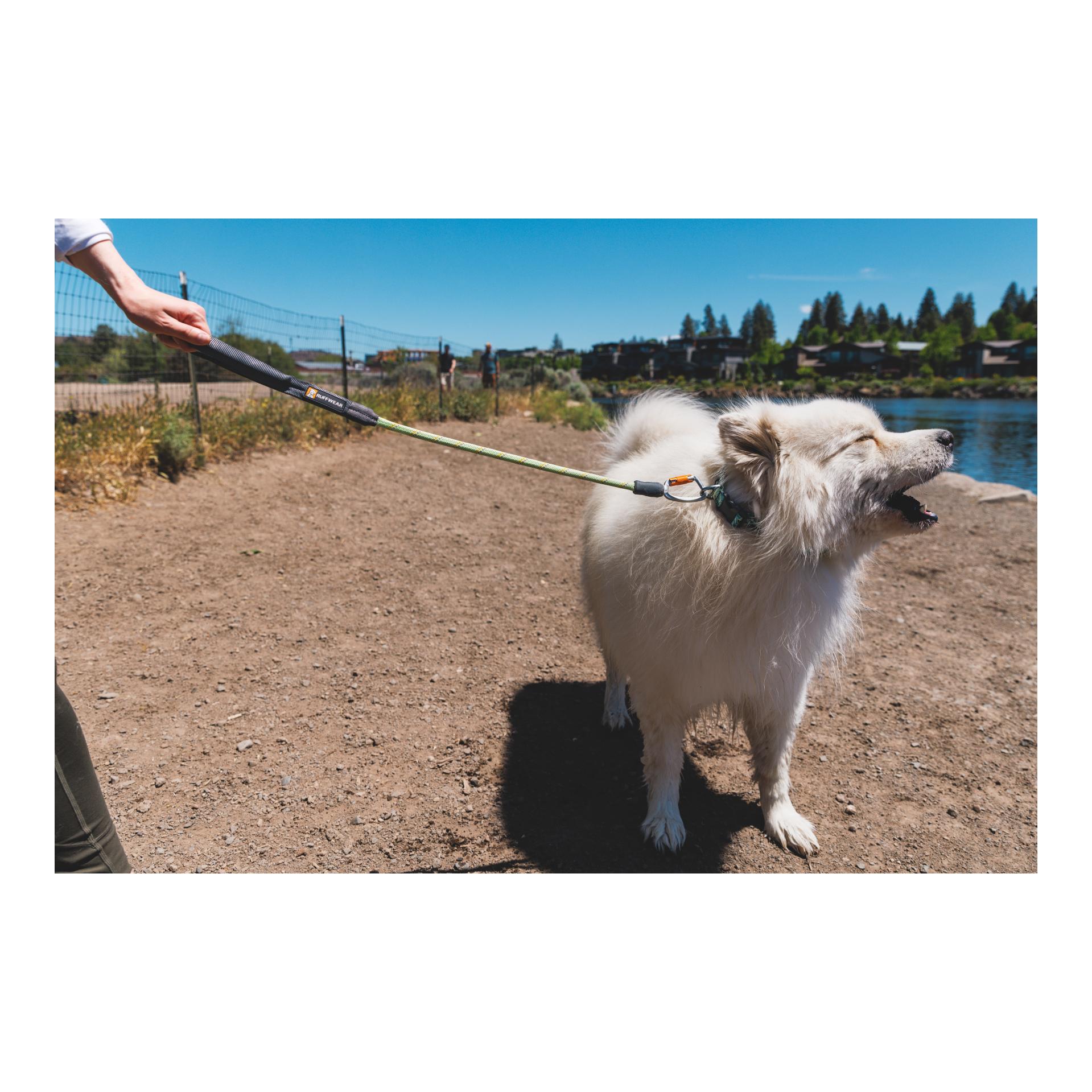 Ruffwear Knot-a-Long Leash Laisse pour chien