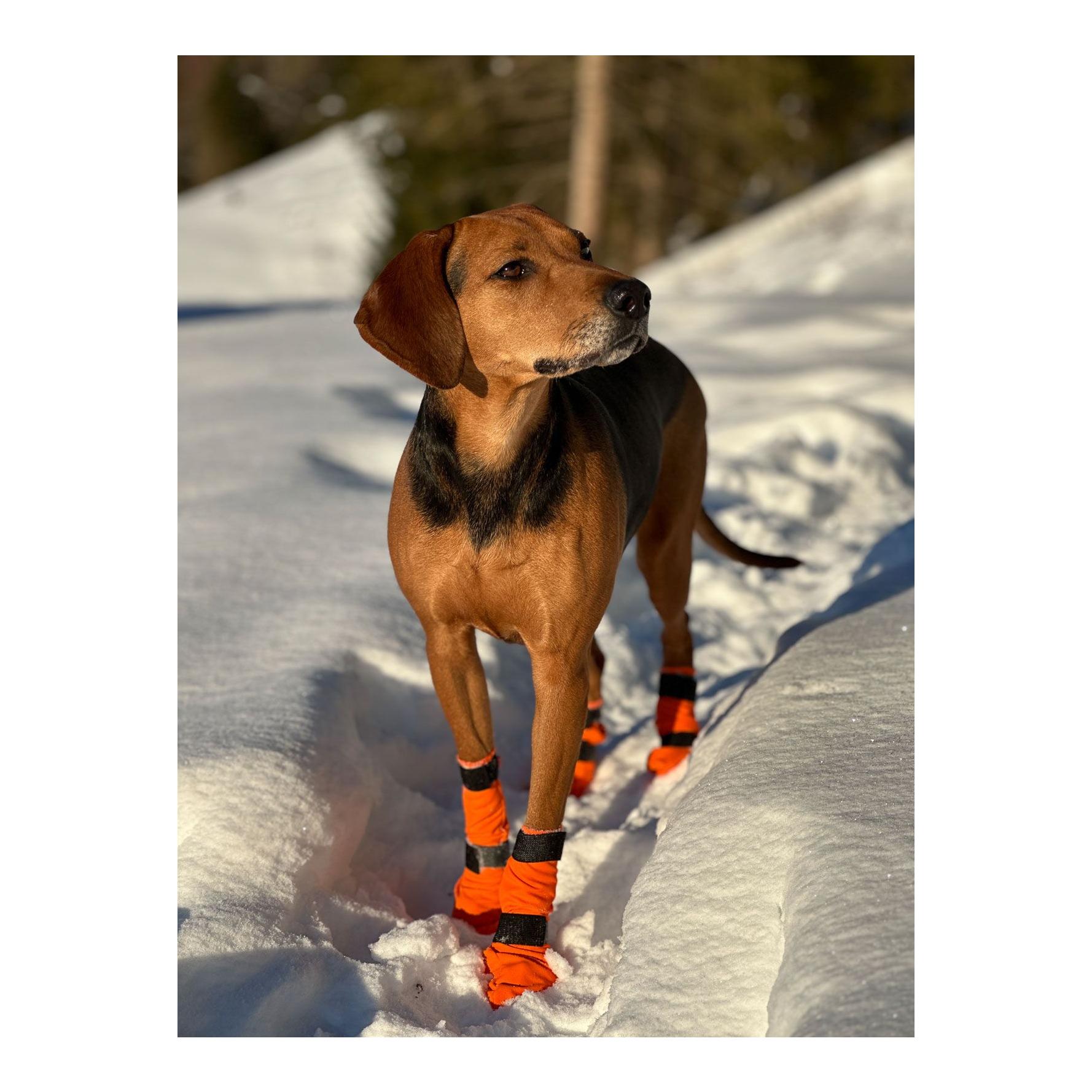 Non-stop Dogwear Chaussures pour chien Contact Bootie High