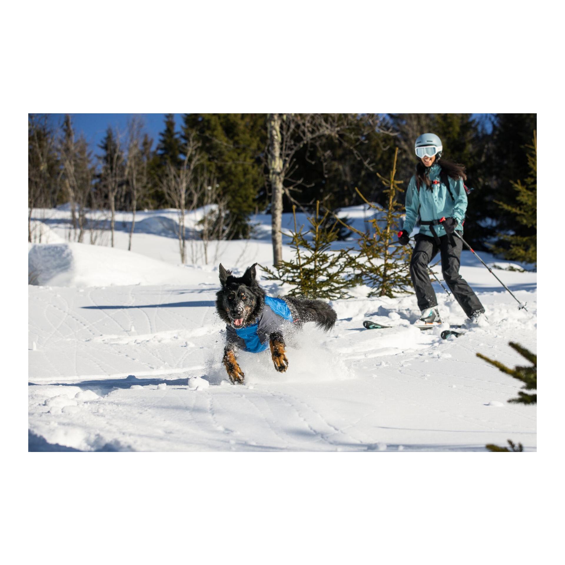 Ruffwear Veste pour chien Powder Hound™ Jacket