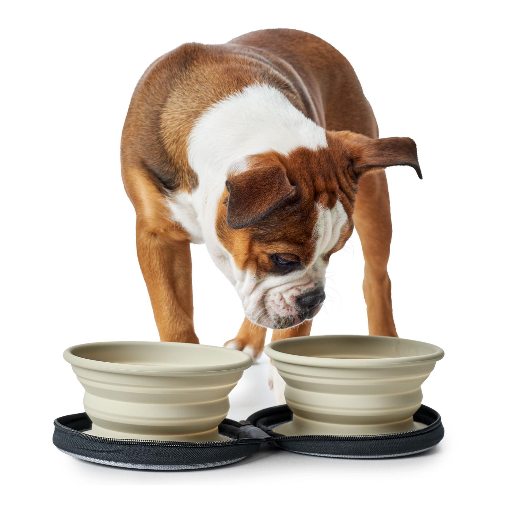 Hunter Ecuelle de voyage en silicone List avec sac