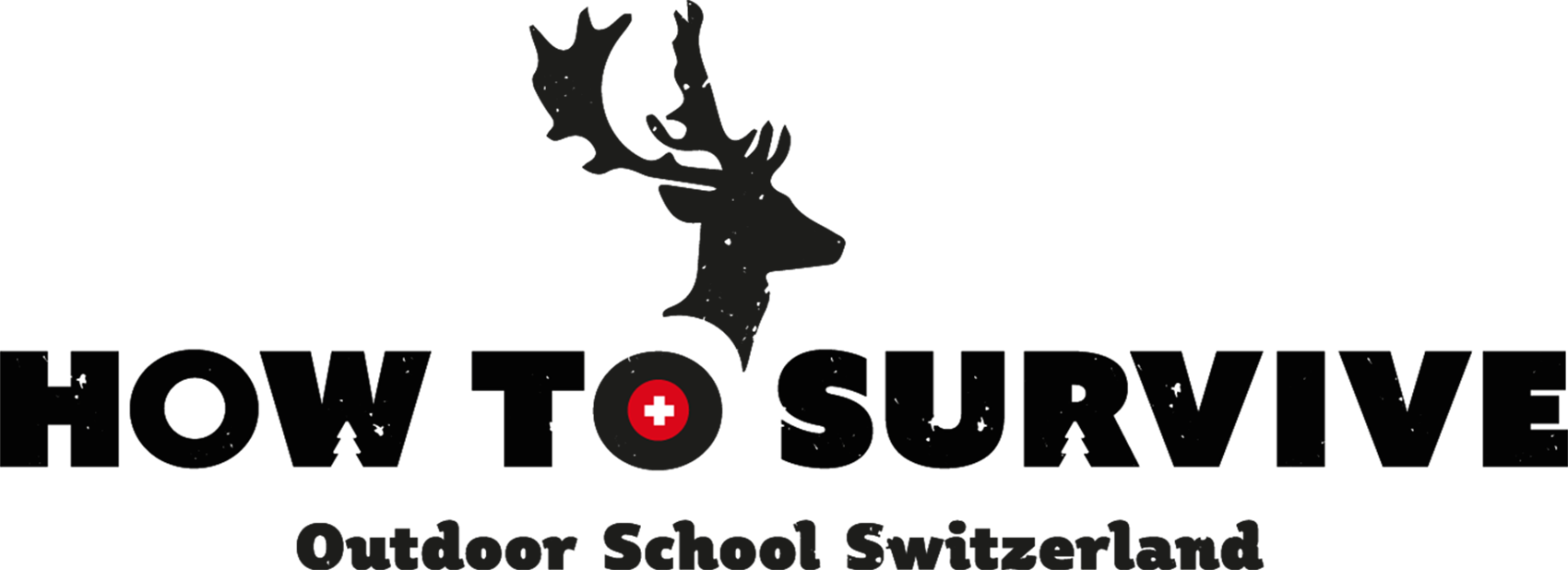 Vergrössert_Logo_howtosurvive_2fg_RGB_2016
