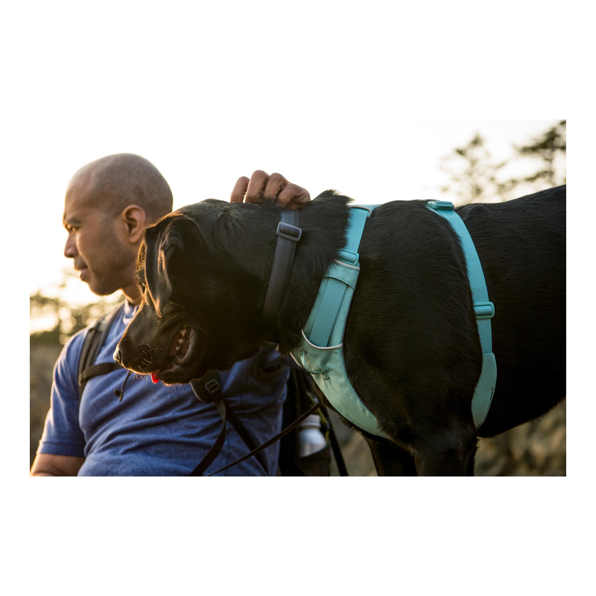 Ruffwear Front Range® Hundegeschirr