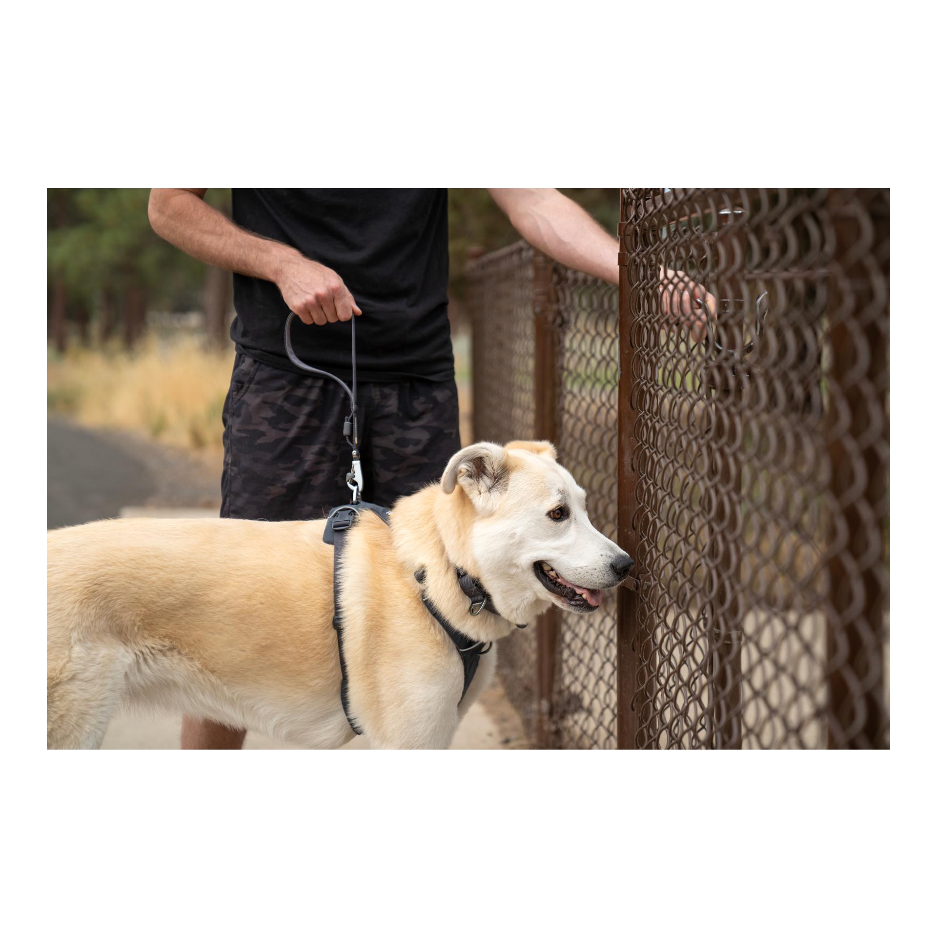 Ruffwear Front Range™ Kurzleine