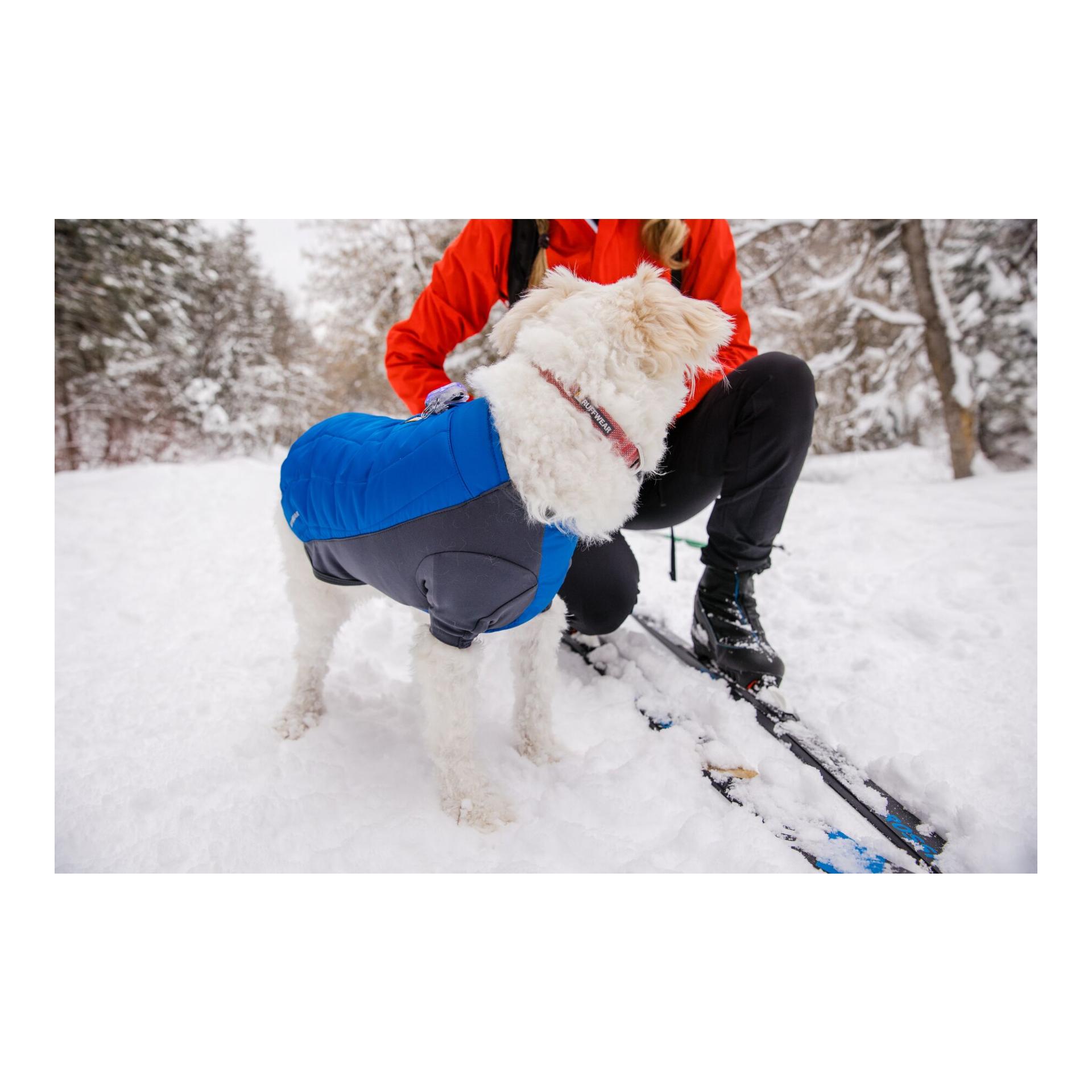 Ruffwear Veste pour chien Powder Hound™ Jacket