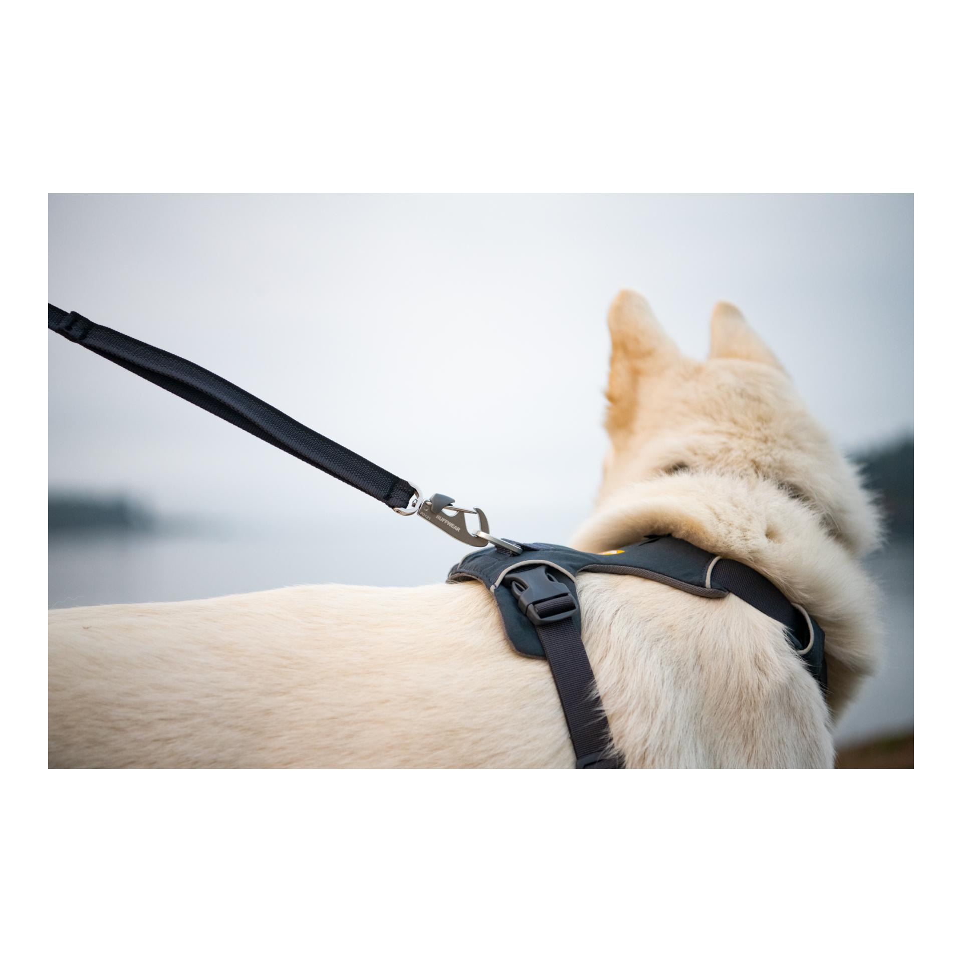 Ruffwear Front Range® harnais pour chien