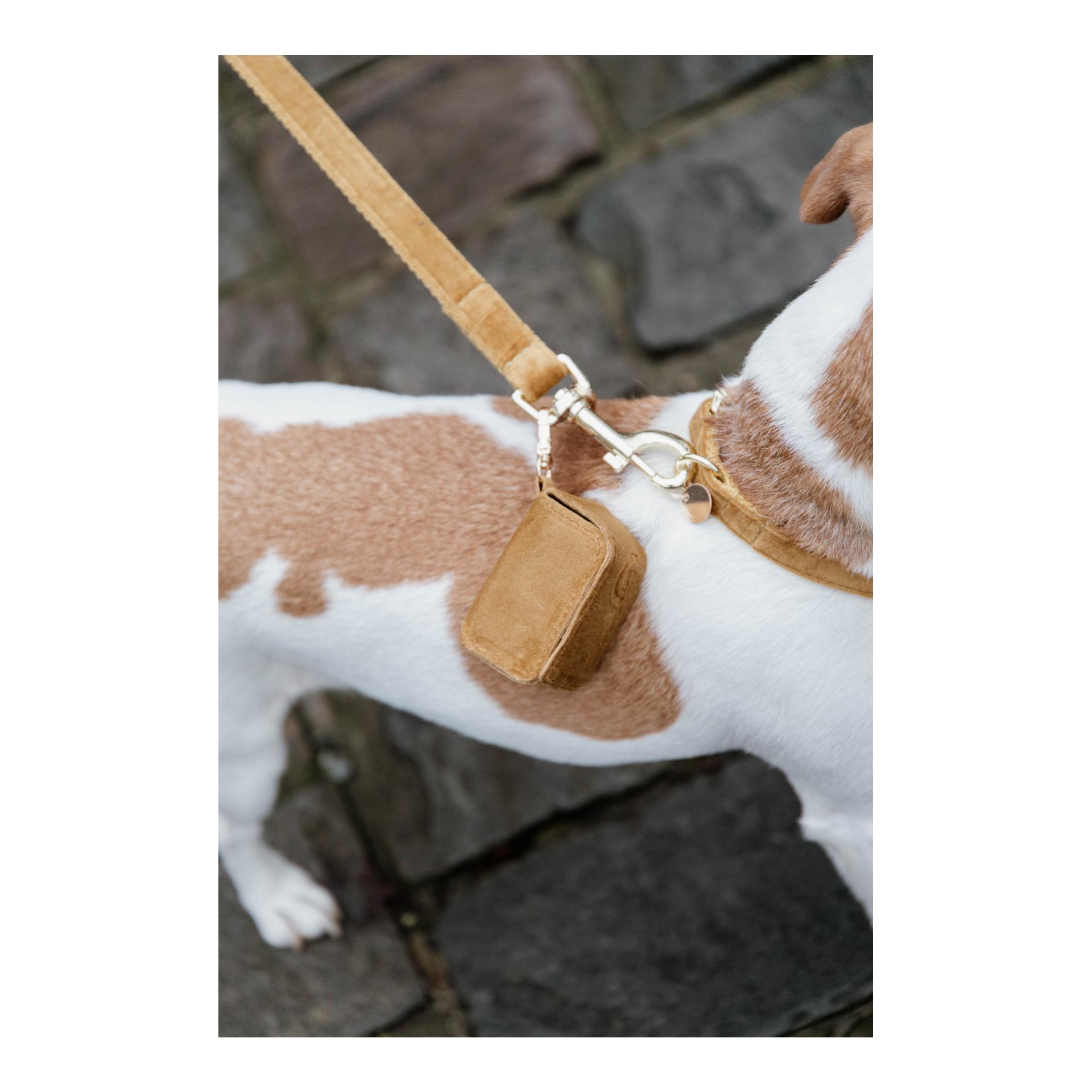 Kentucky Dogwear Kotbeutelspender Velvet Square