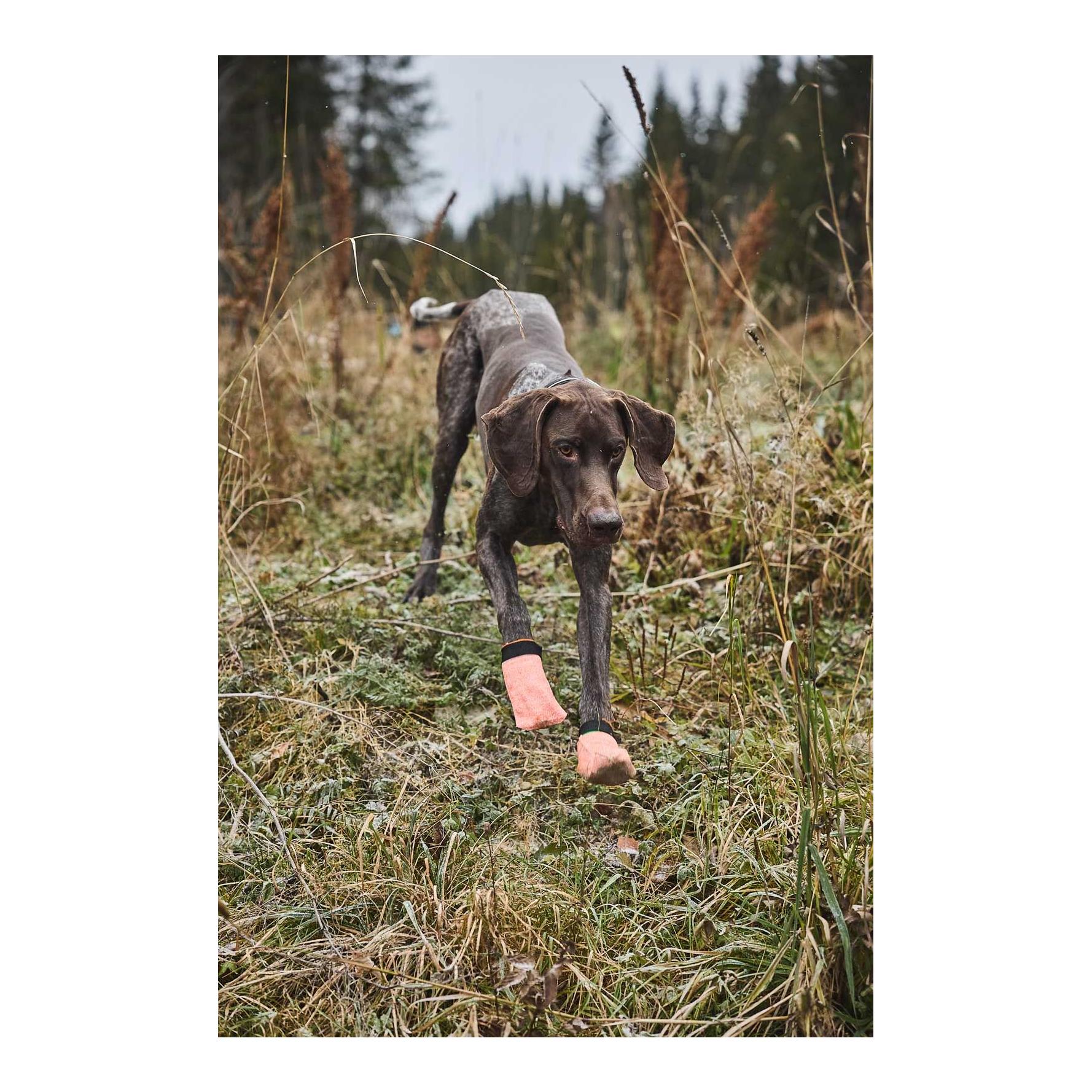 Non-stop Dogwear Protector Light Socks Chaussures pour chiens